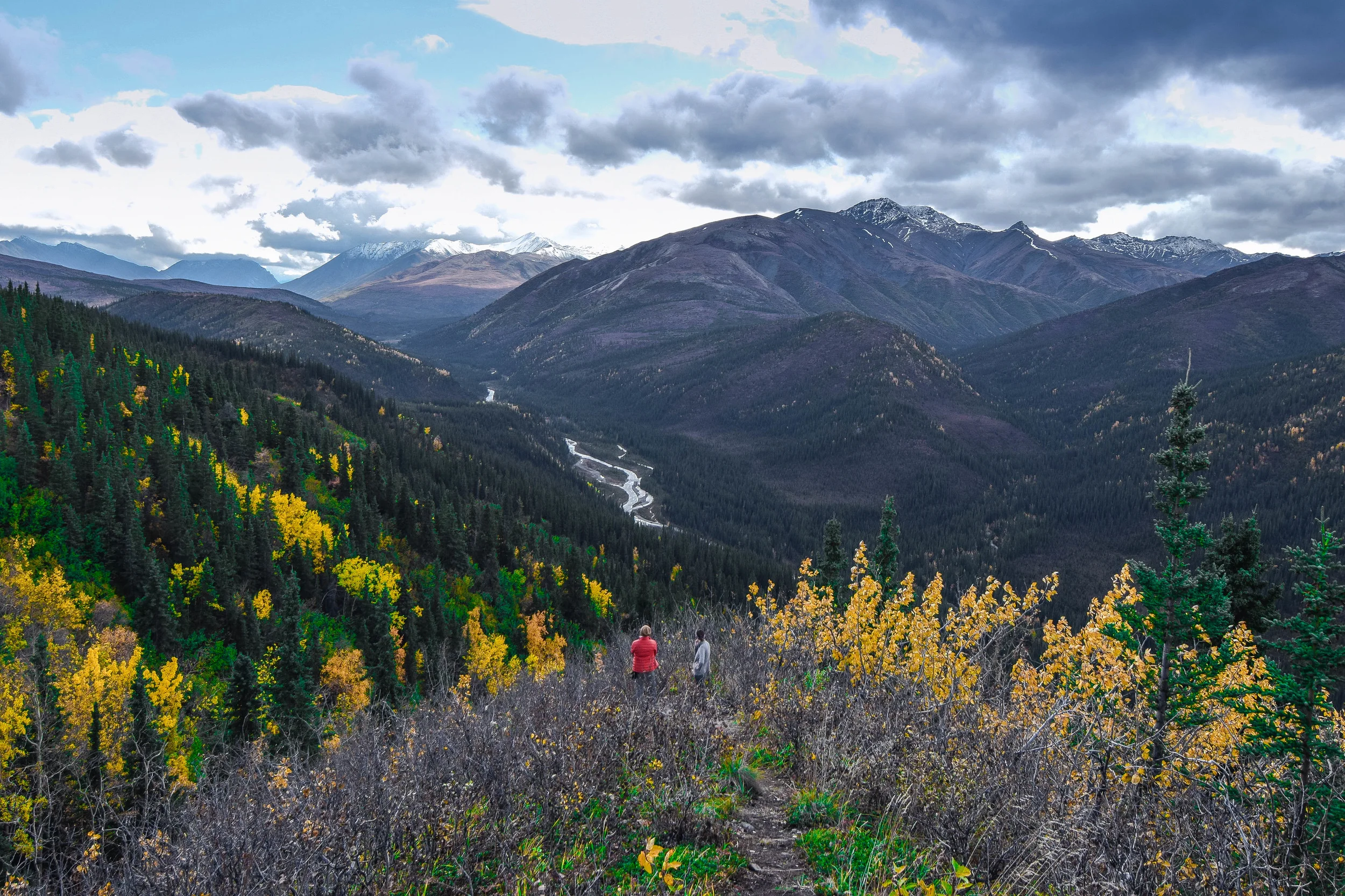 alaska hill emmy (1 of 1).jpg