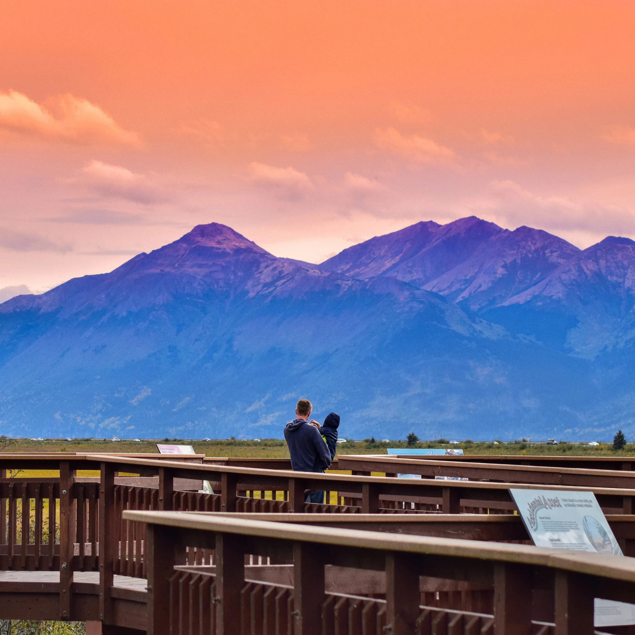 alaska mental (1 of 1).jpg