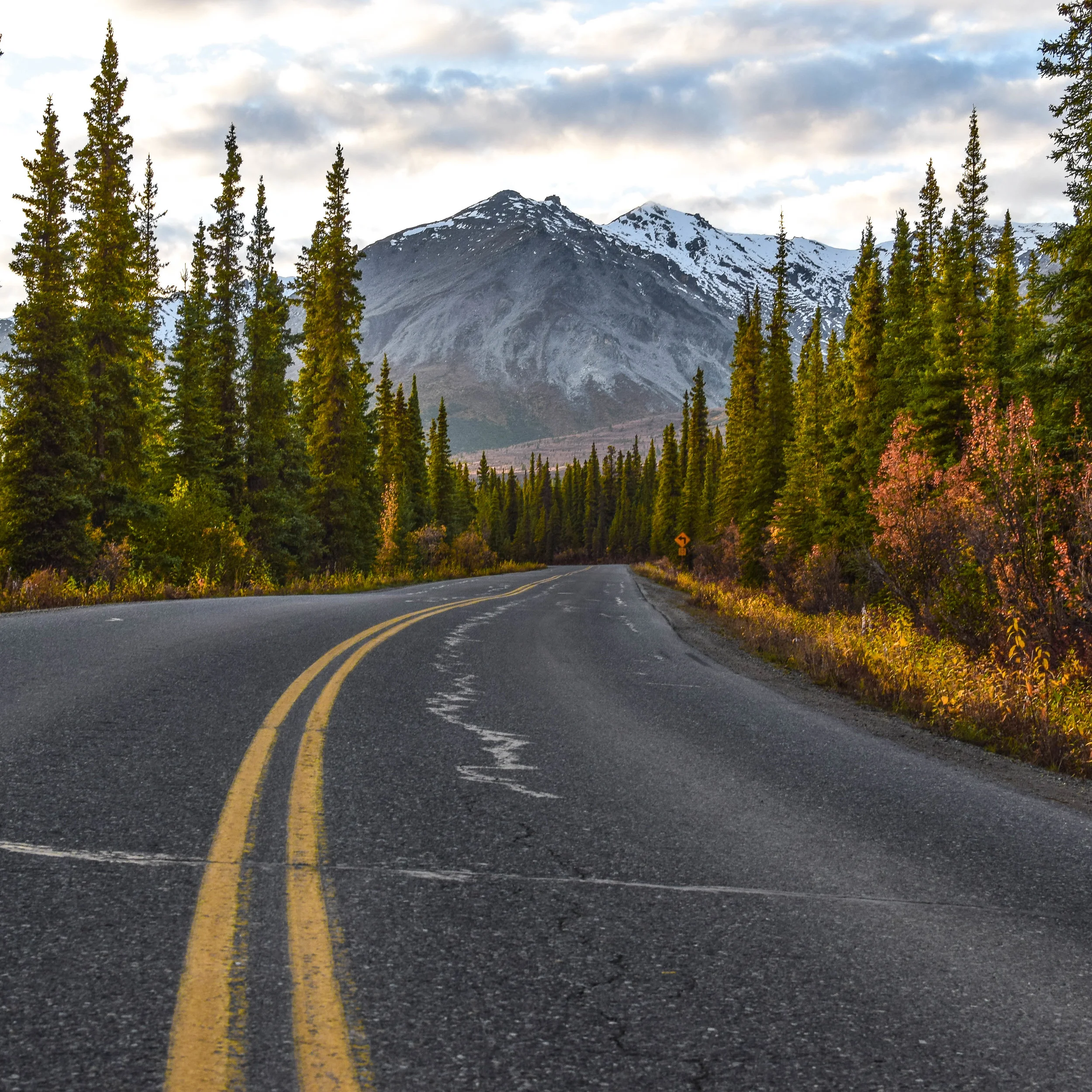 alaska road (1 of 1).jpg