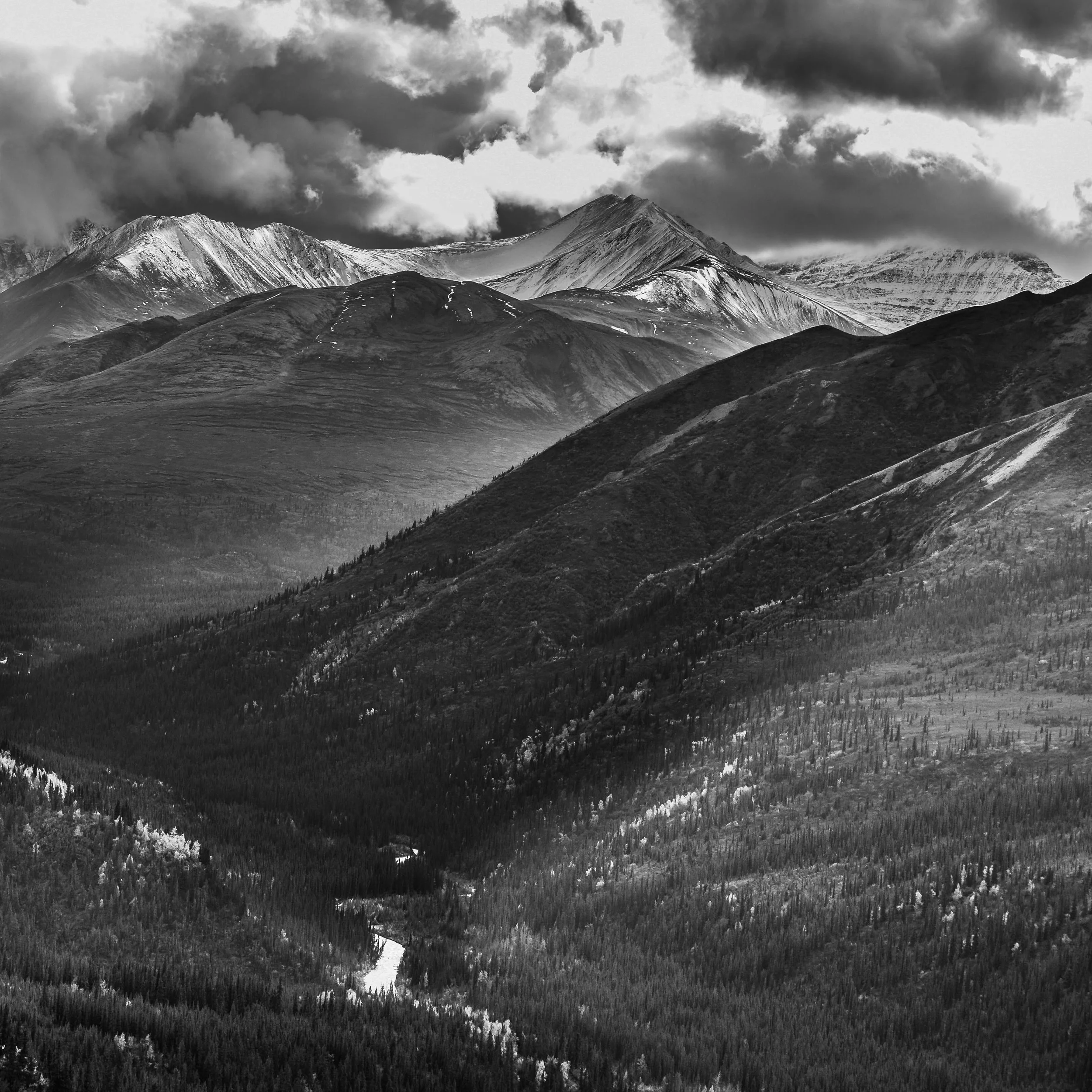 alaskaanseladams (1 of 1).jpg