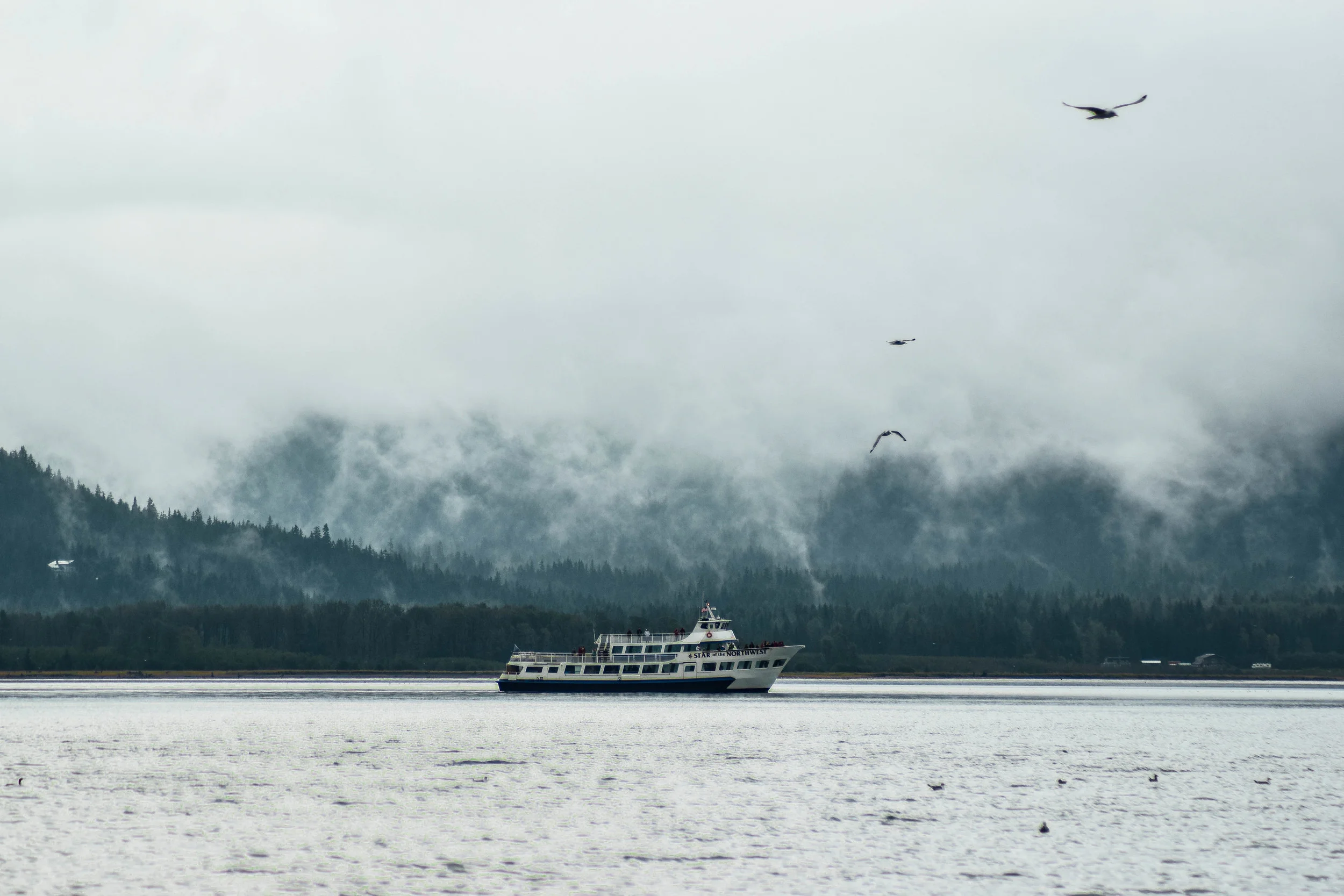 sewardboatbirds (1 of 1).jpg