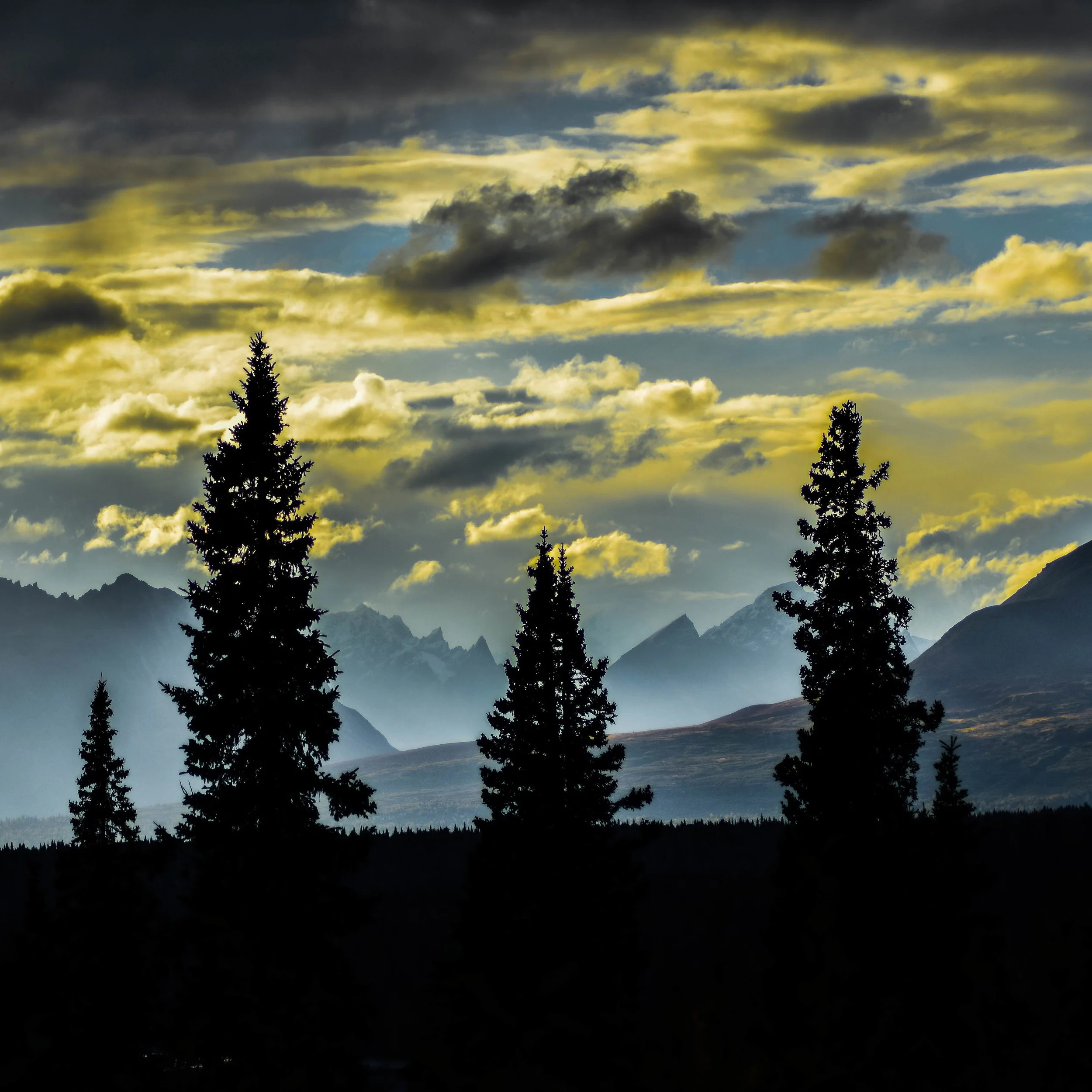 alaska symmetry  (1 of 1).jpg