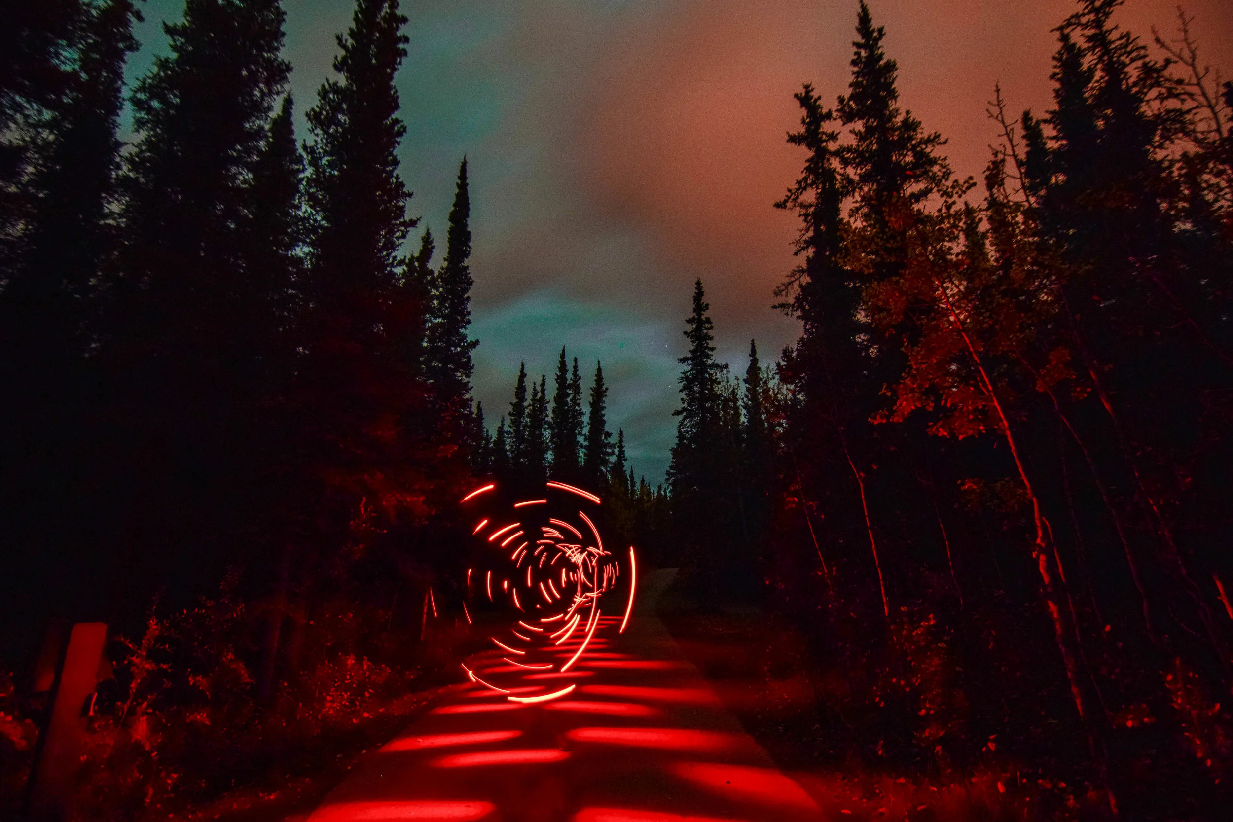 alaskaredlight (1 of 1).jpg