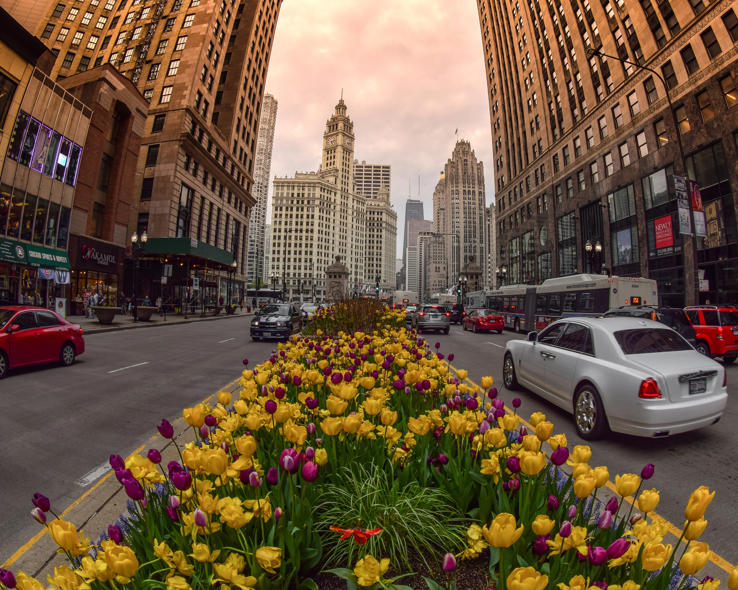 magnificentmile (1 of 1).jpg