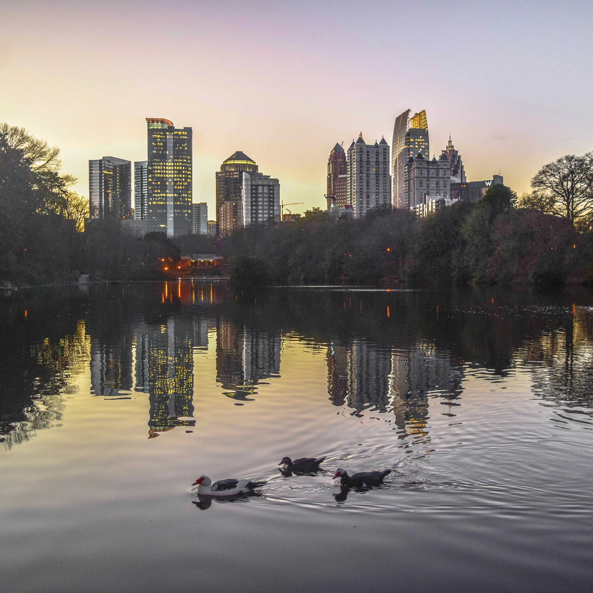 patience (1 of 1).jpg