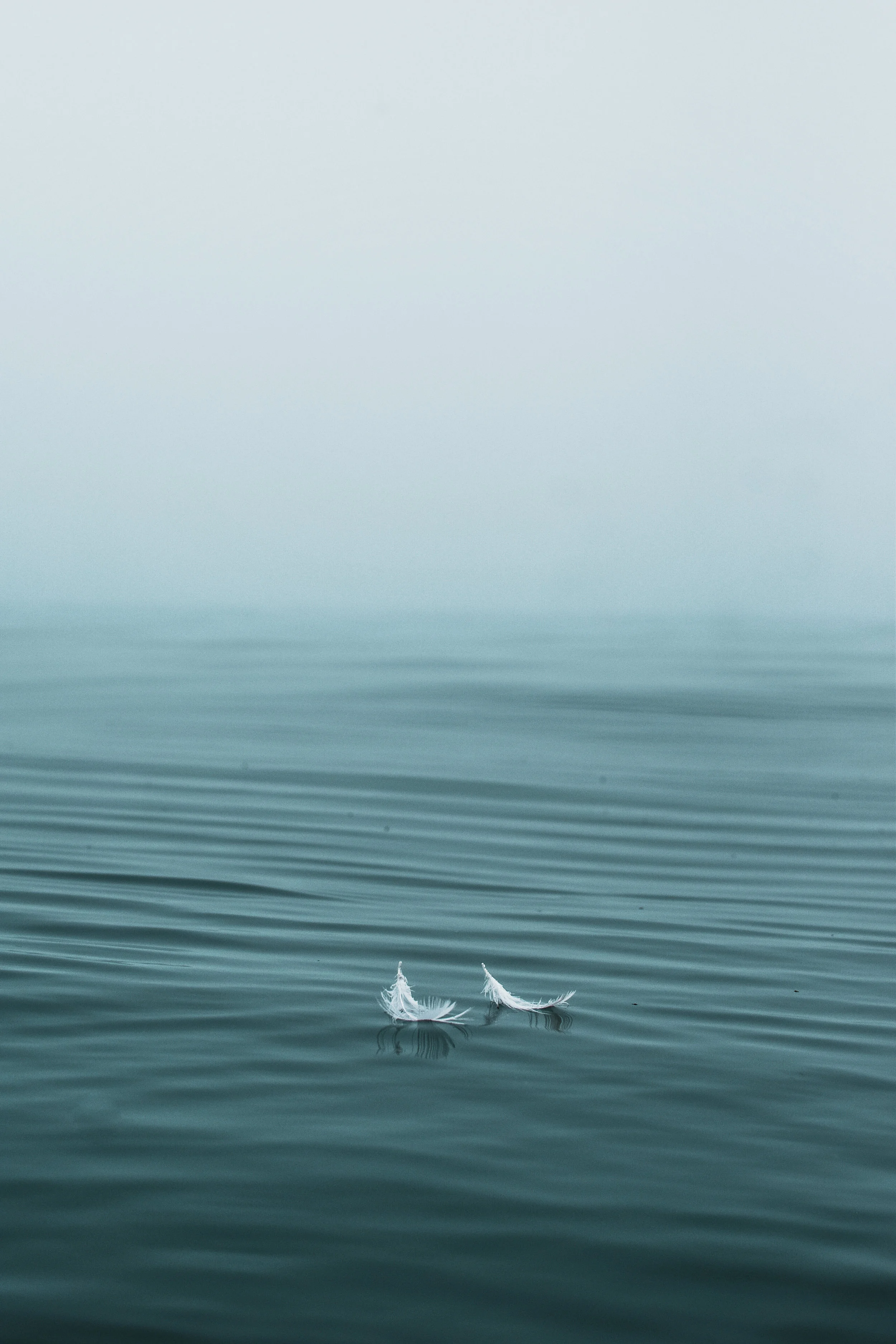 featherwater (1 of 1).jpg