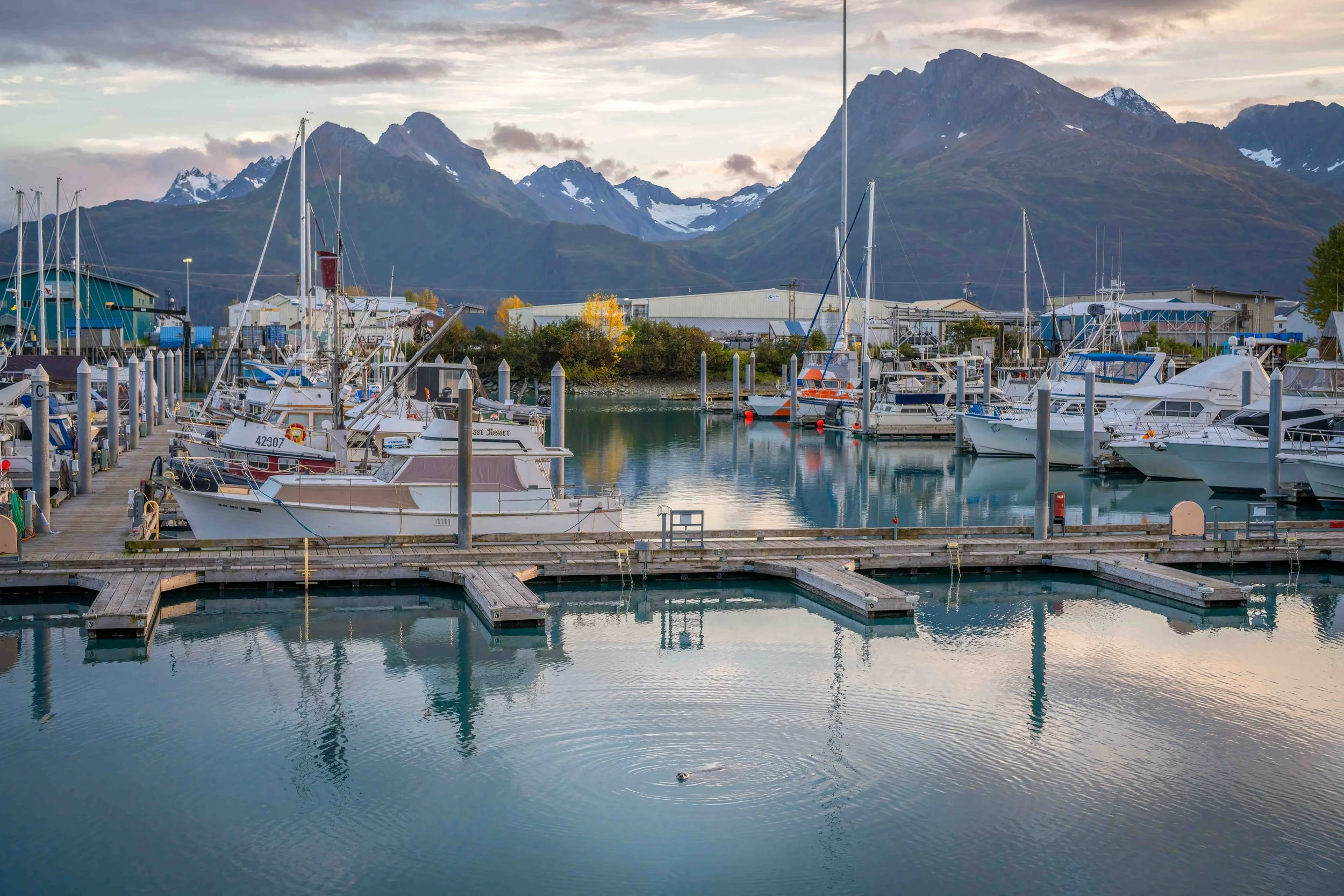 alaska-homerithink-sealships.jpg