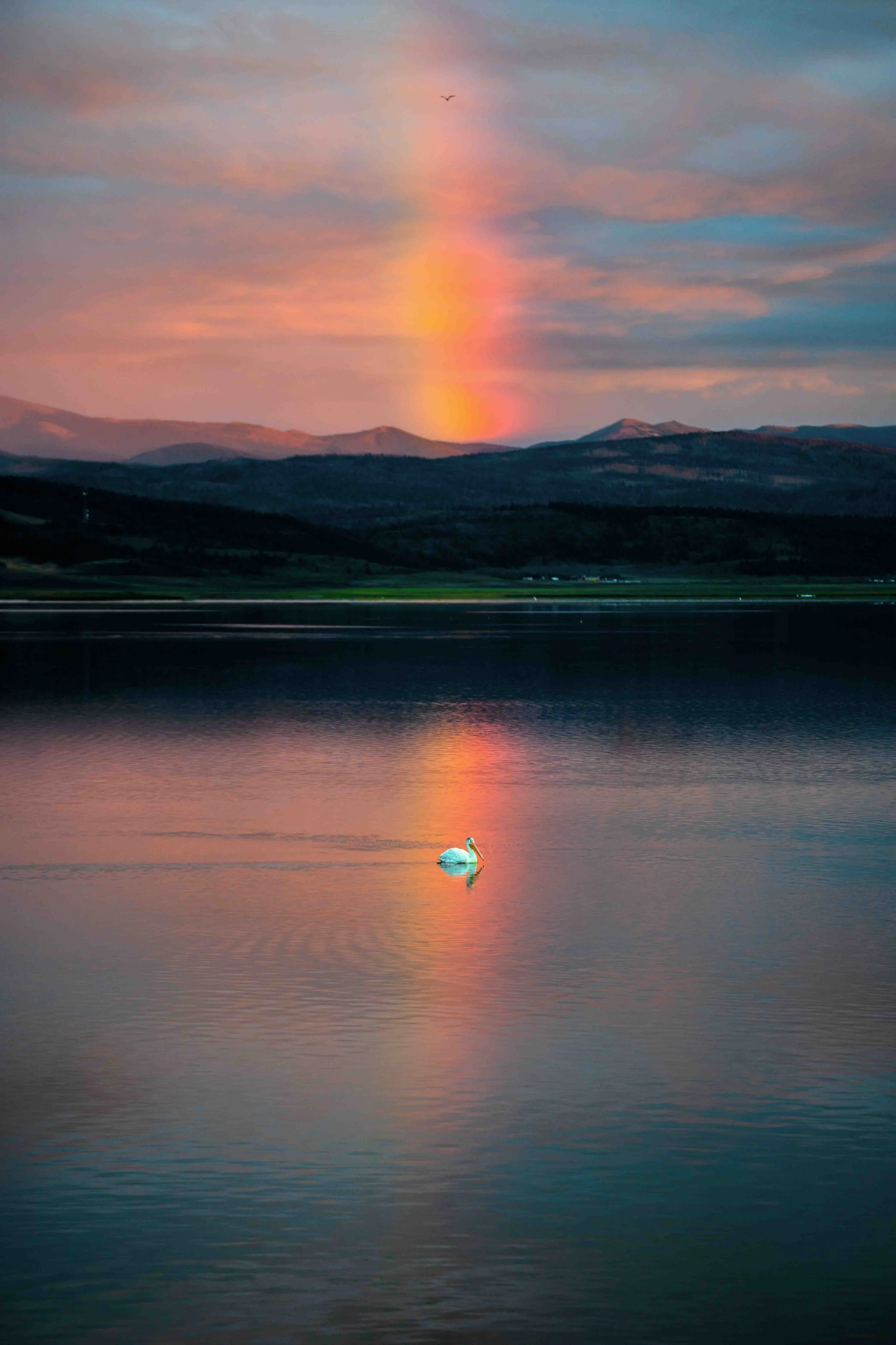 colorado-anteroresevoir-birdrainbow (1 of 1).jpg