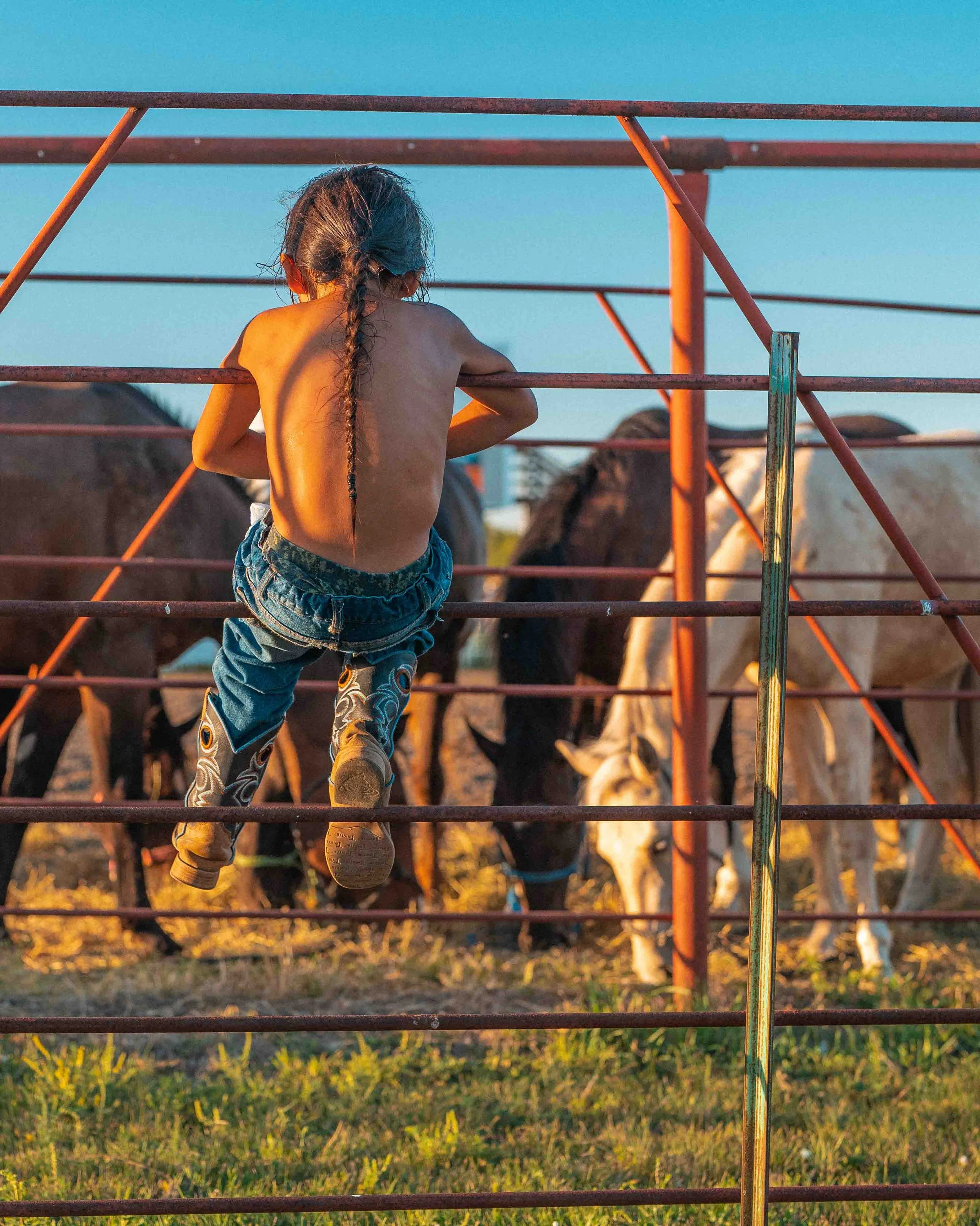 southdakota-spiritride-boyfence (1 of 1).jpg