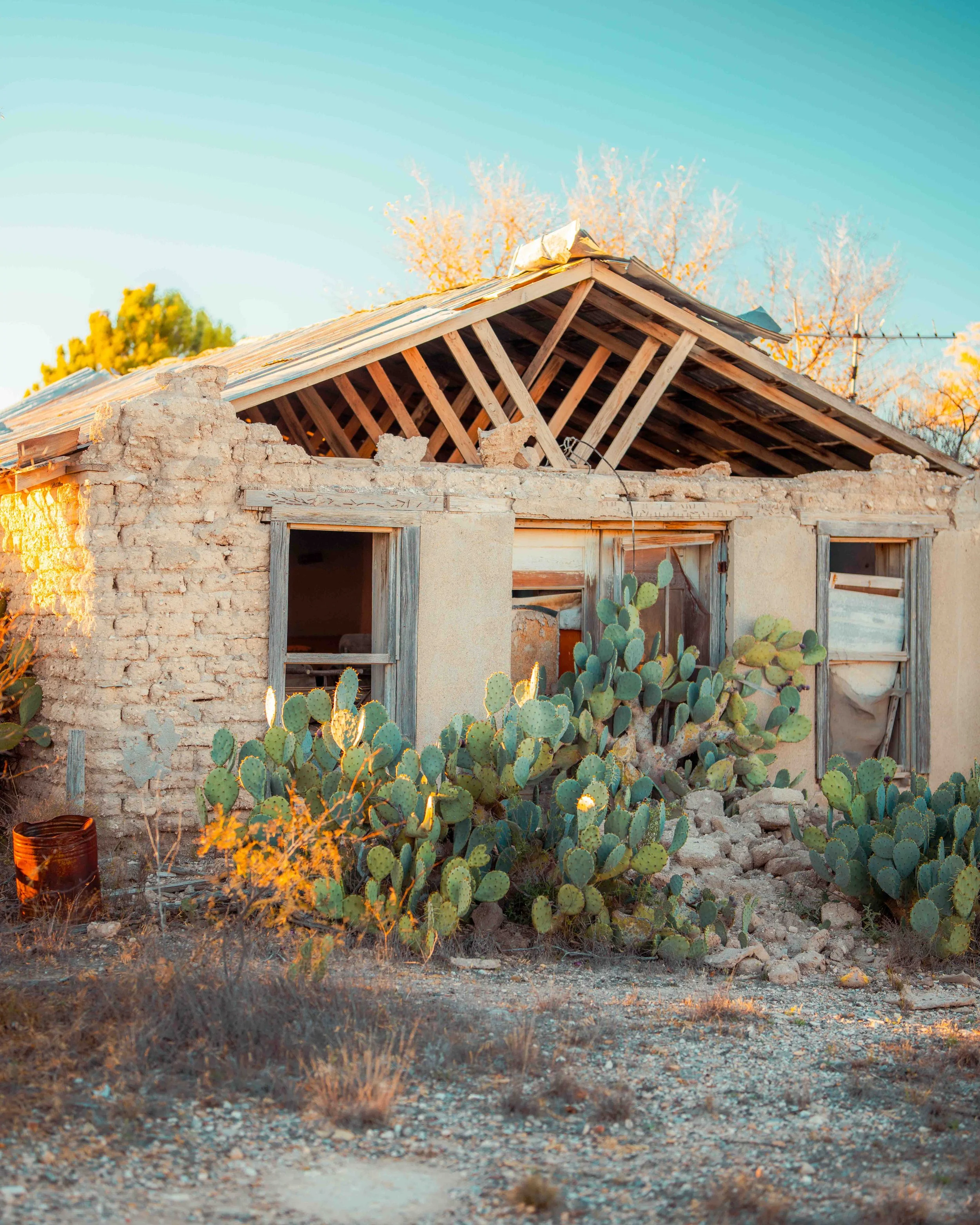 texas-marathon-cactushouse1 (1 of 1).jpg