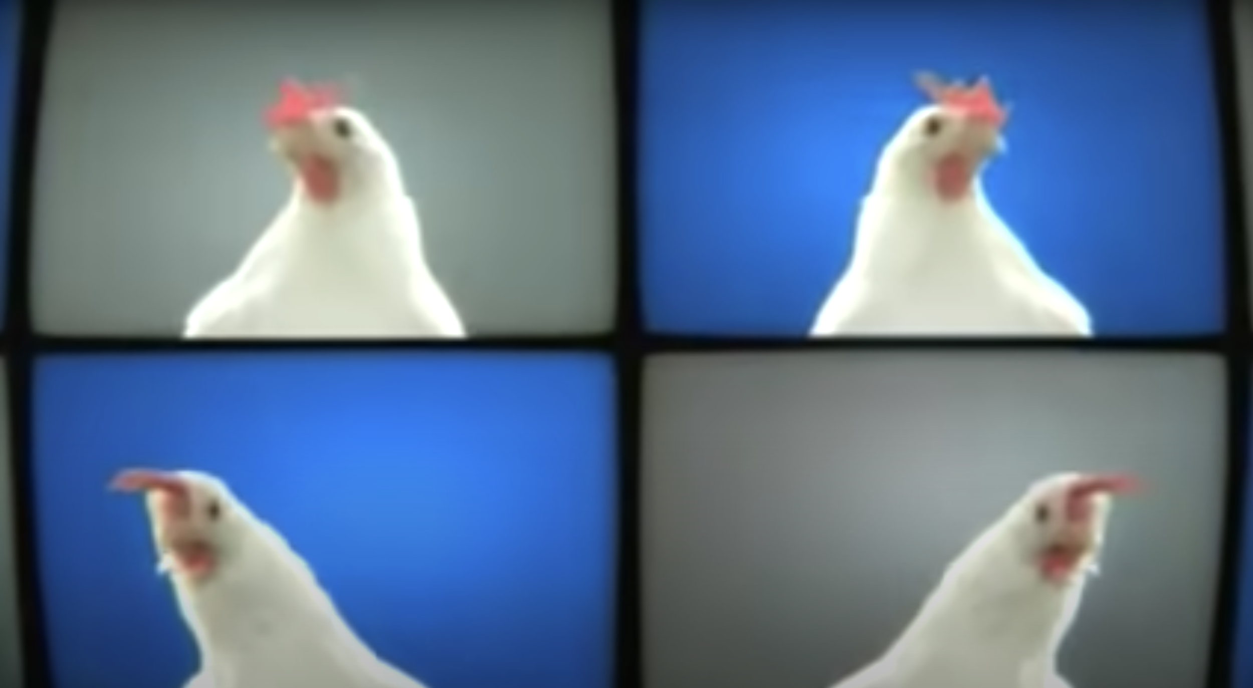 Chicken Techno