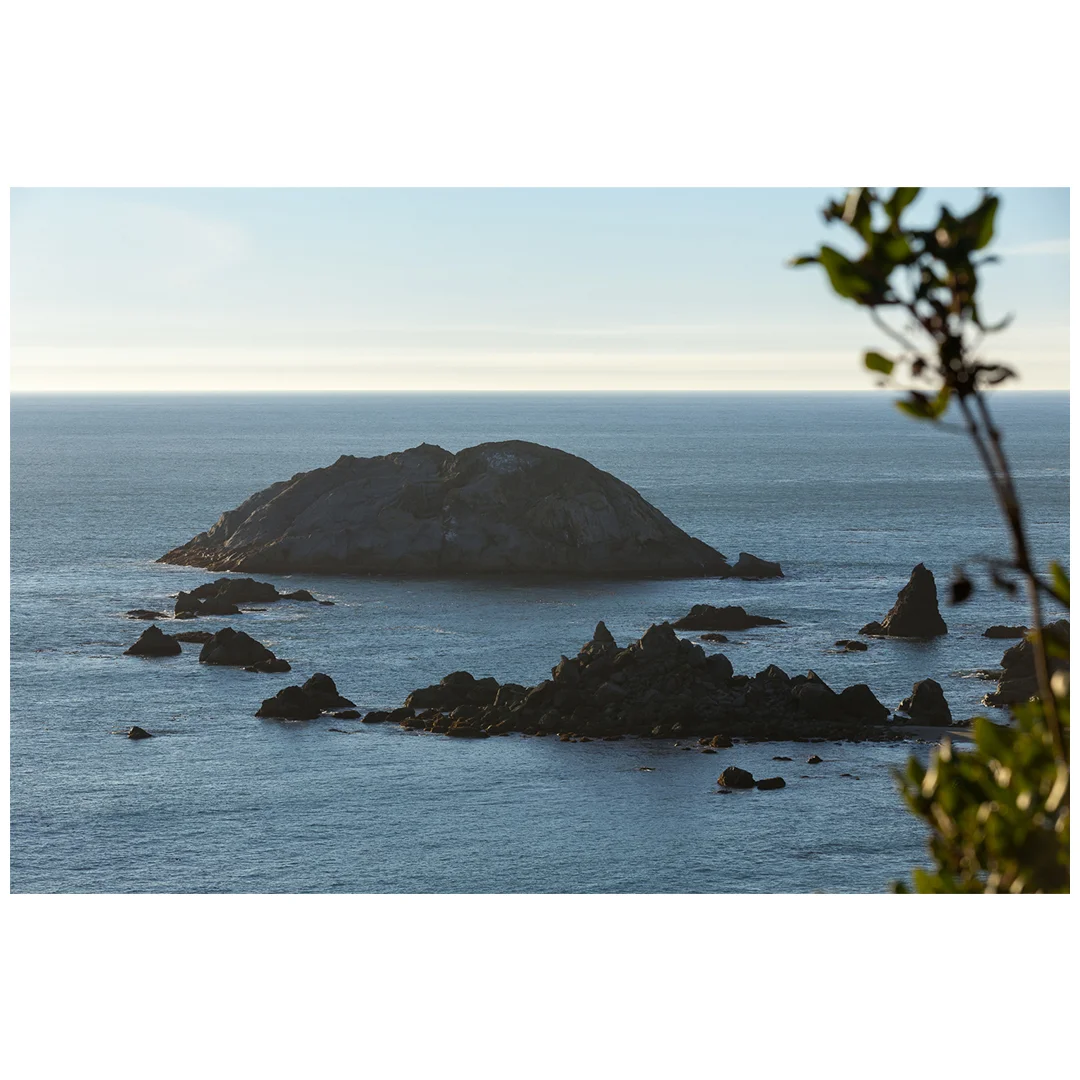 Oregon Coast.jpg