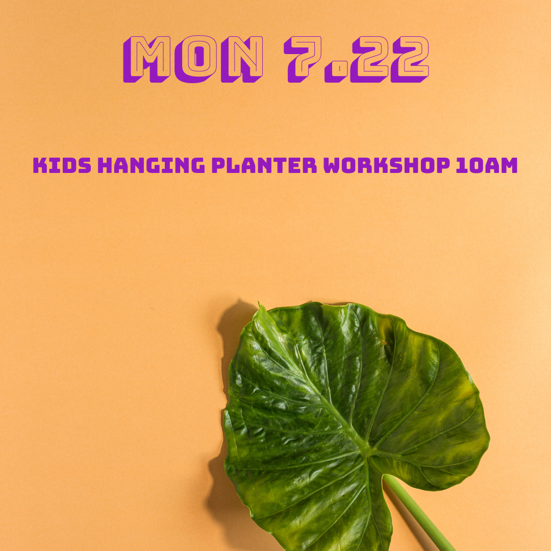 Shop — Lakewood Plant Company