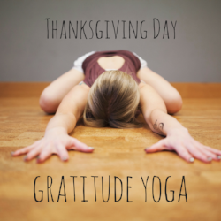 Benefit Yoga Class for Project Wheel House. Visit the Project Wheel House website here: LINK