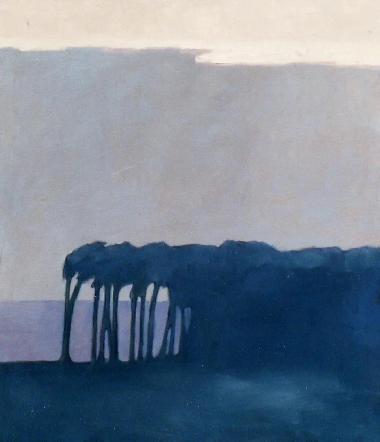17 pines.jpg