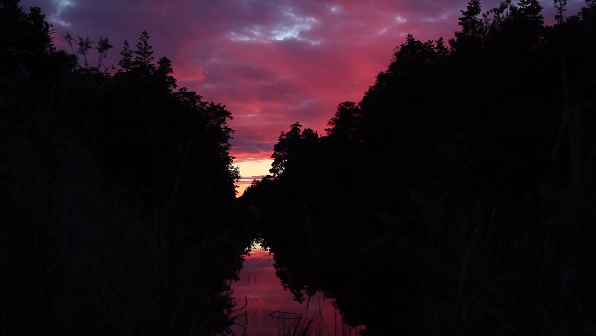 SunsetPurple.png