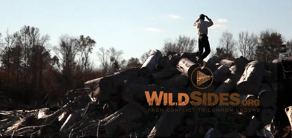 WildSides Champions get more access to strategy discussions to take part in the future of WildSides.