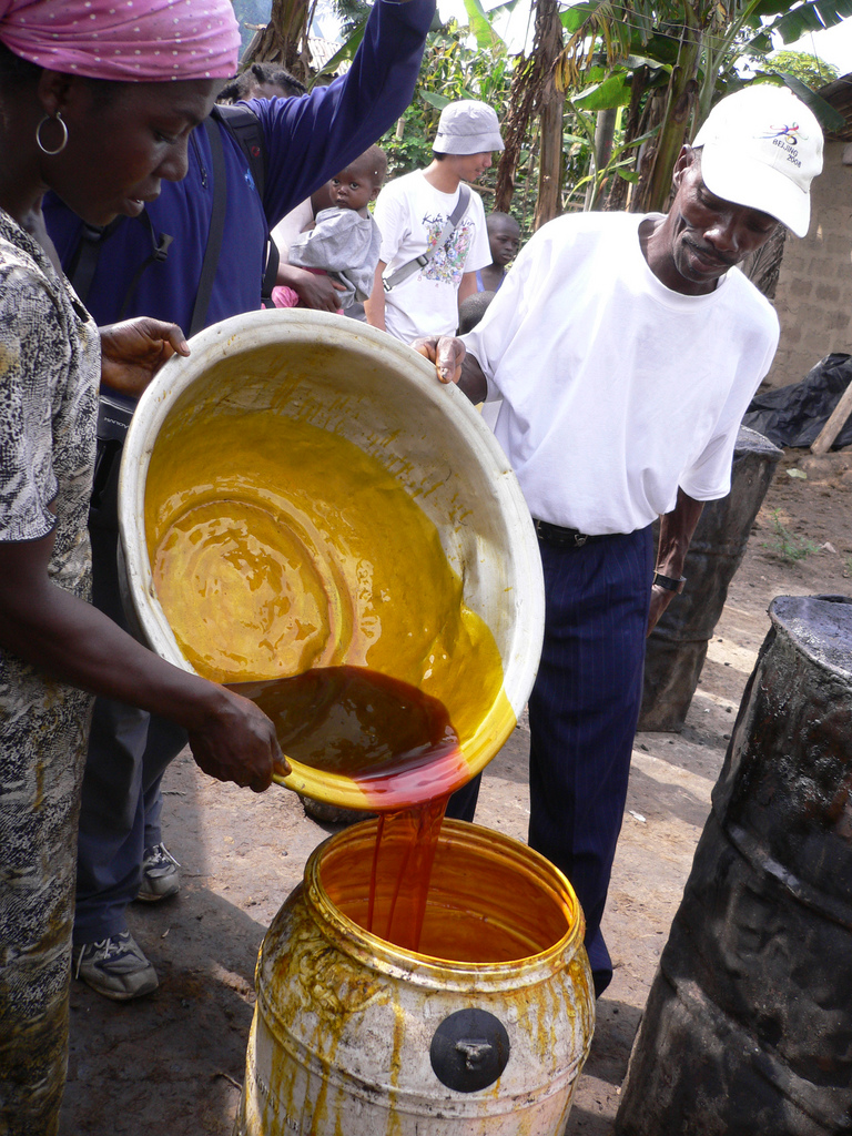 Palm Oil Production in Jukwa Village 
