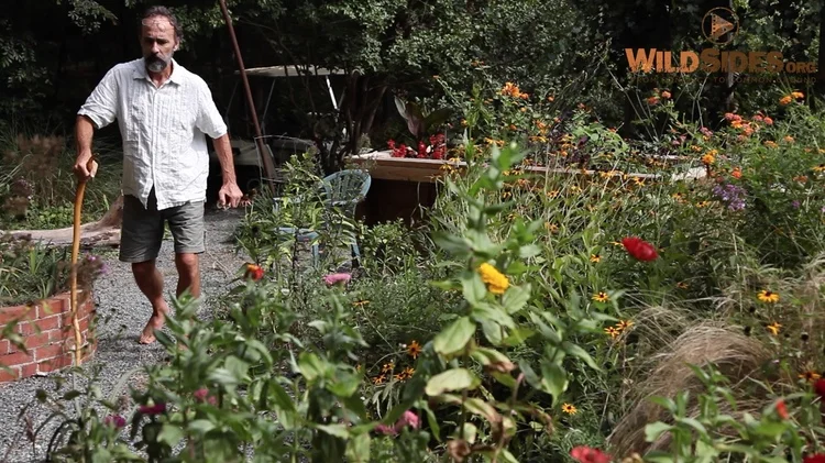 Article about Staring Down Fate, NC Premiere