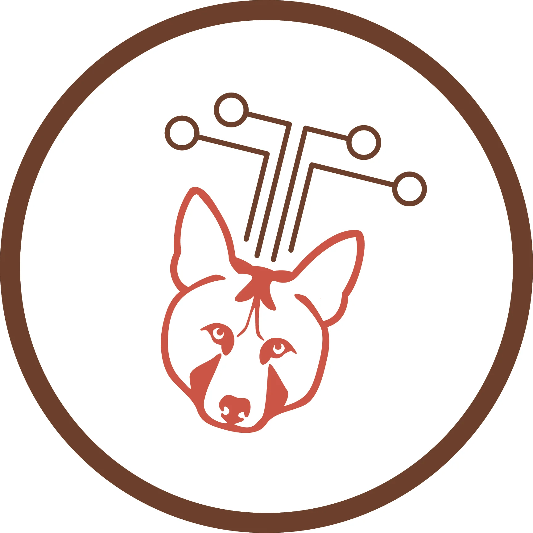 Direct fitness benefits of delayed dispersal in the cooperatively breeding red wolf (Canis rufus)