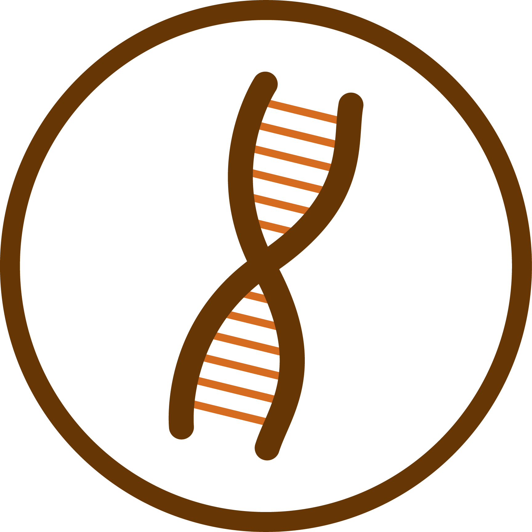 Major histocompatibility complex variation in red wolves: evidence for common ancestry with coyotes and balancing selection