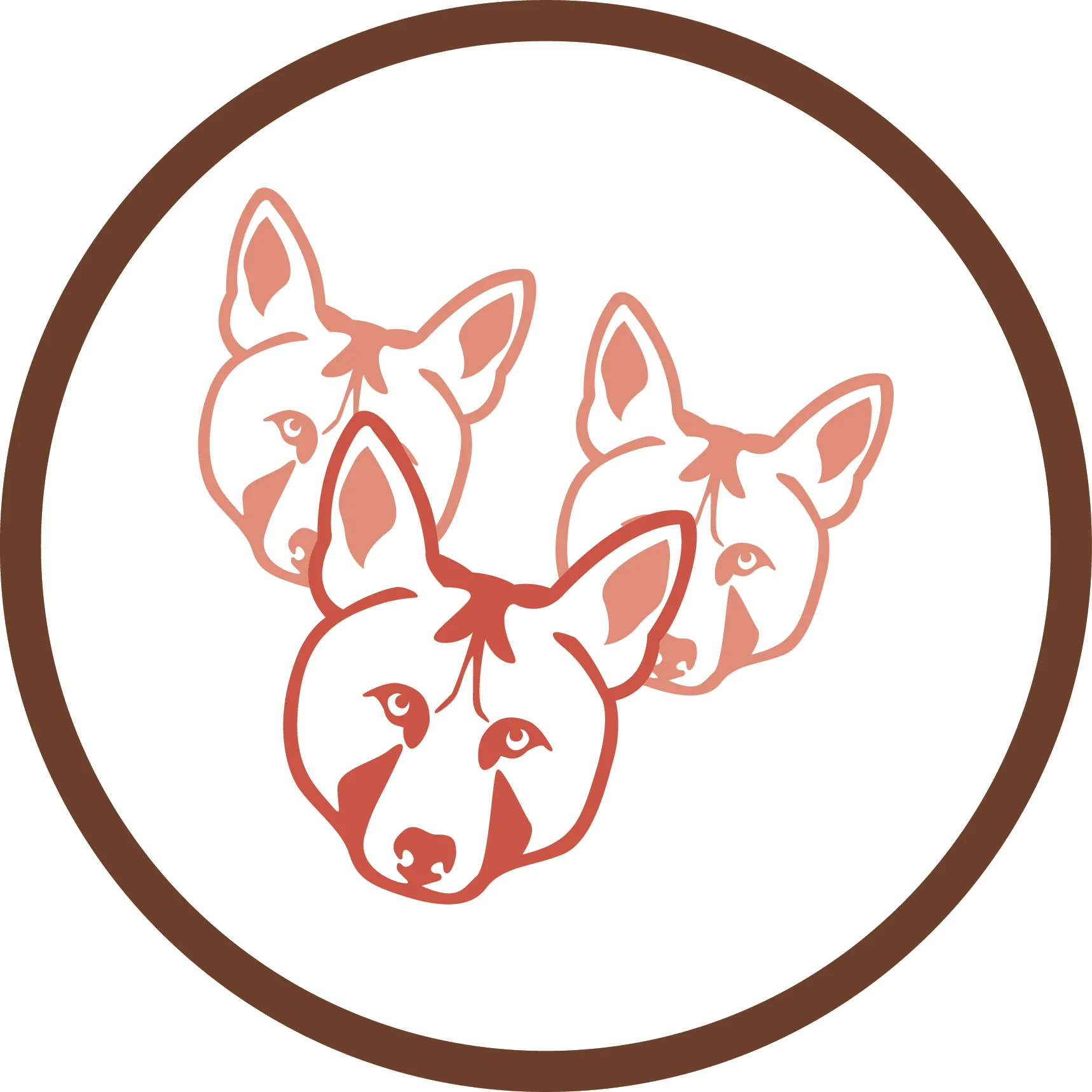 Survey of necropsy results in captive red wolves (Canis rufus), 1992-1996.