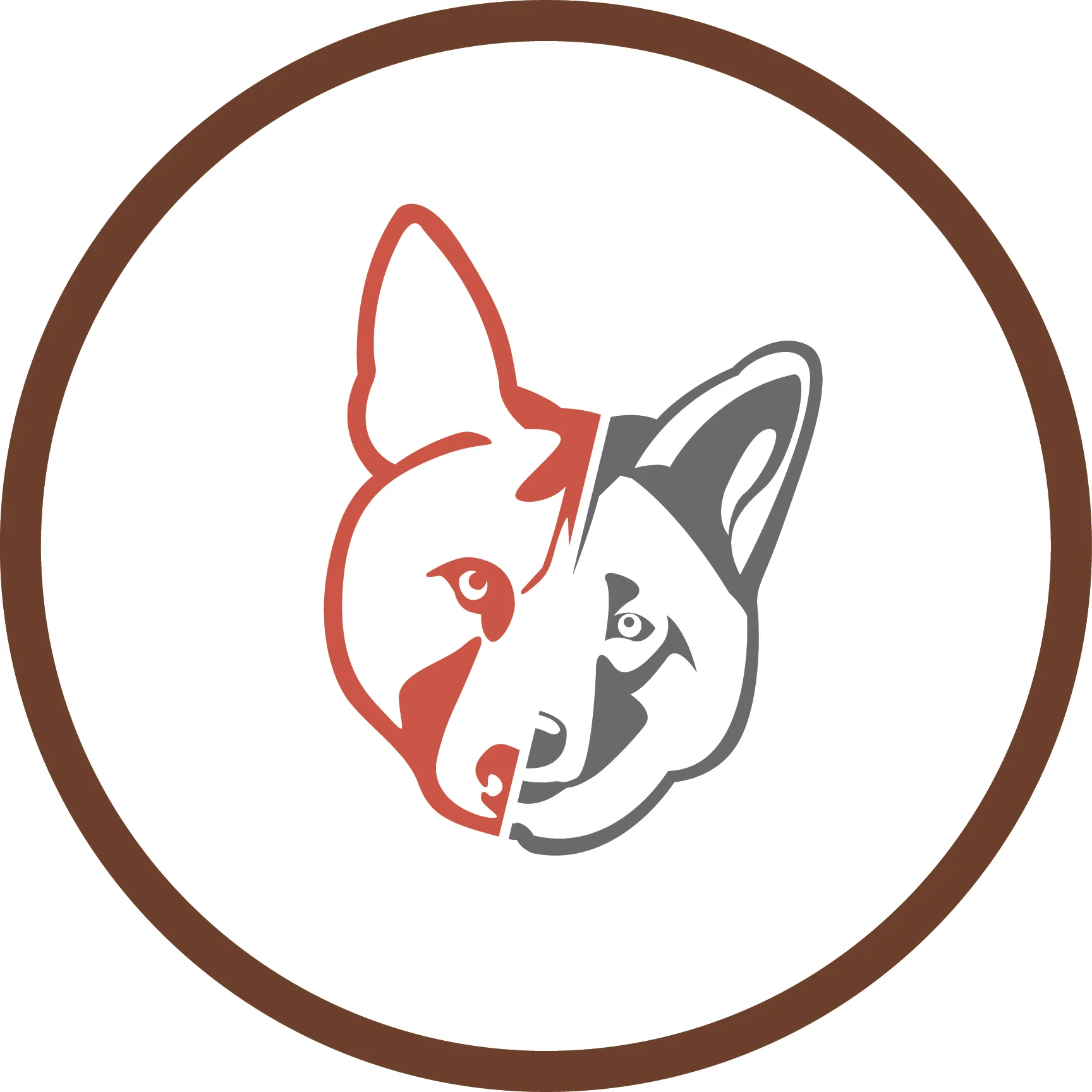 Spatial dynamics of sympatric canids: Modeling the impact of coyotes on red wolf recovery