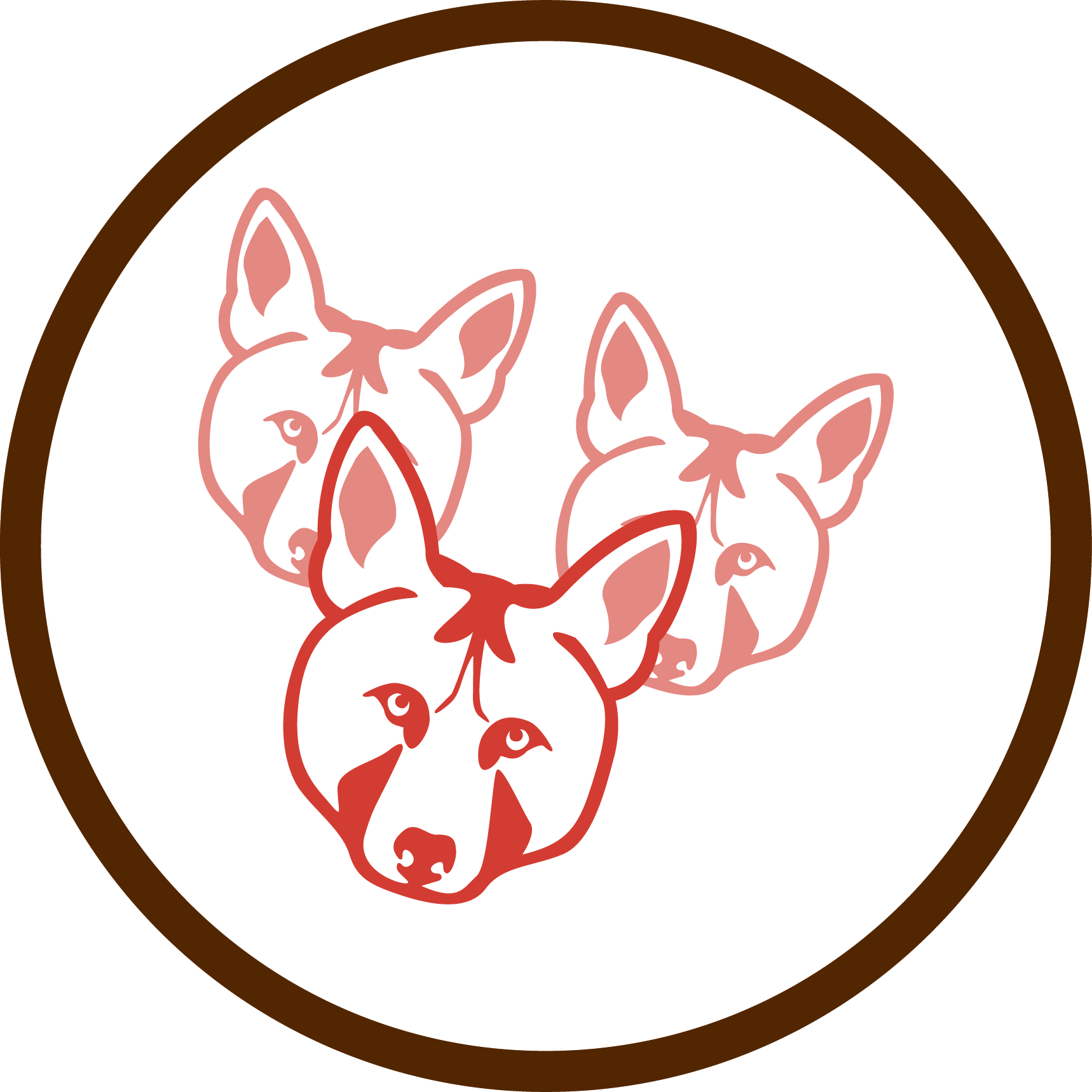 An assessment of red wolf (Canis rufus) population persistence using classical and individual-based modeling approaches