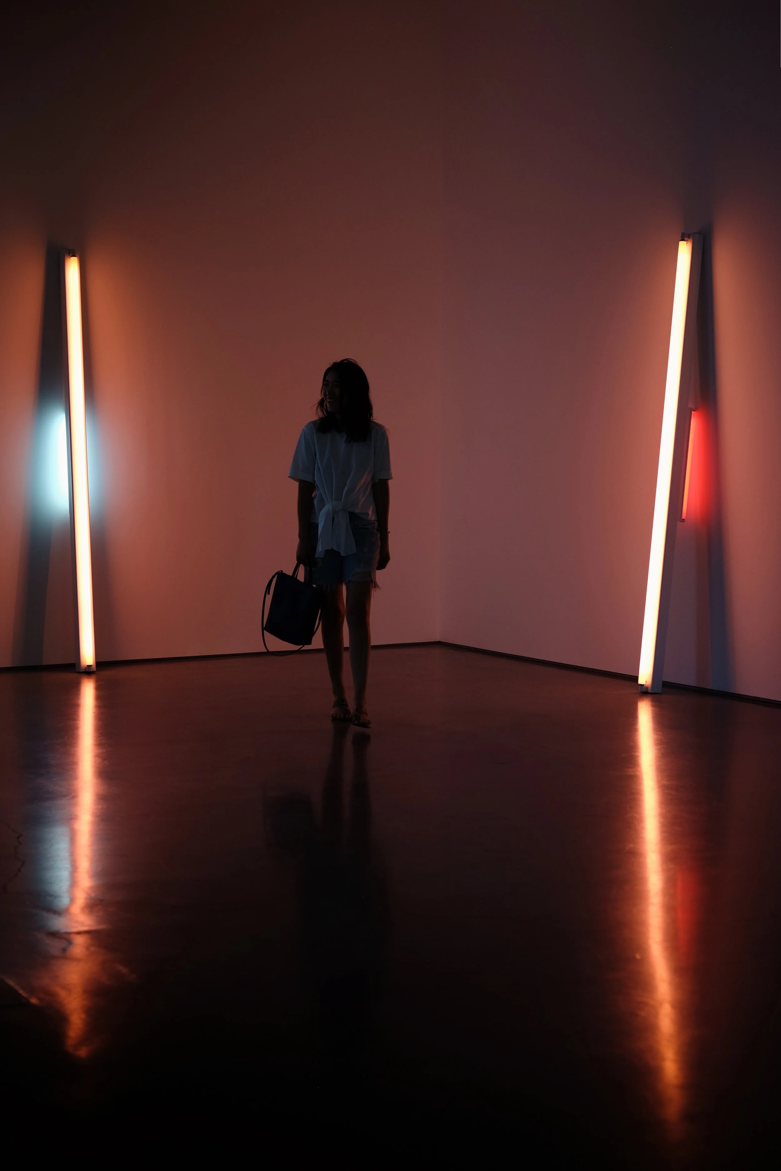 Dan Flavin