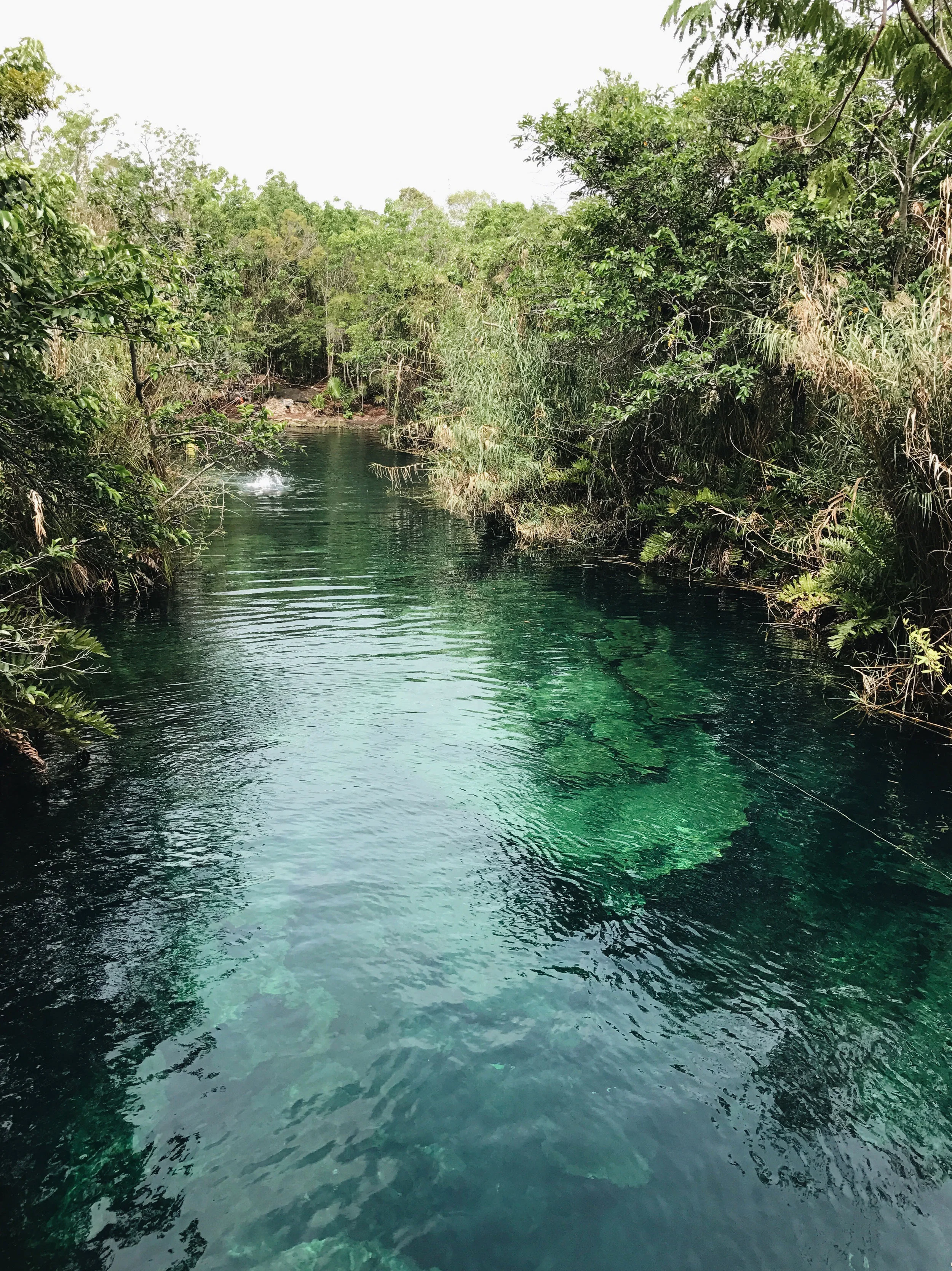 Cenote Cristal and Escondido, Tulum, Mexico