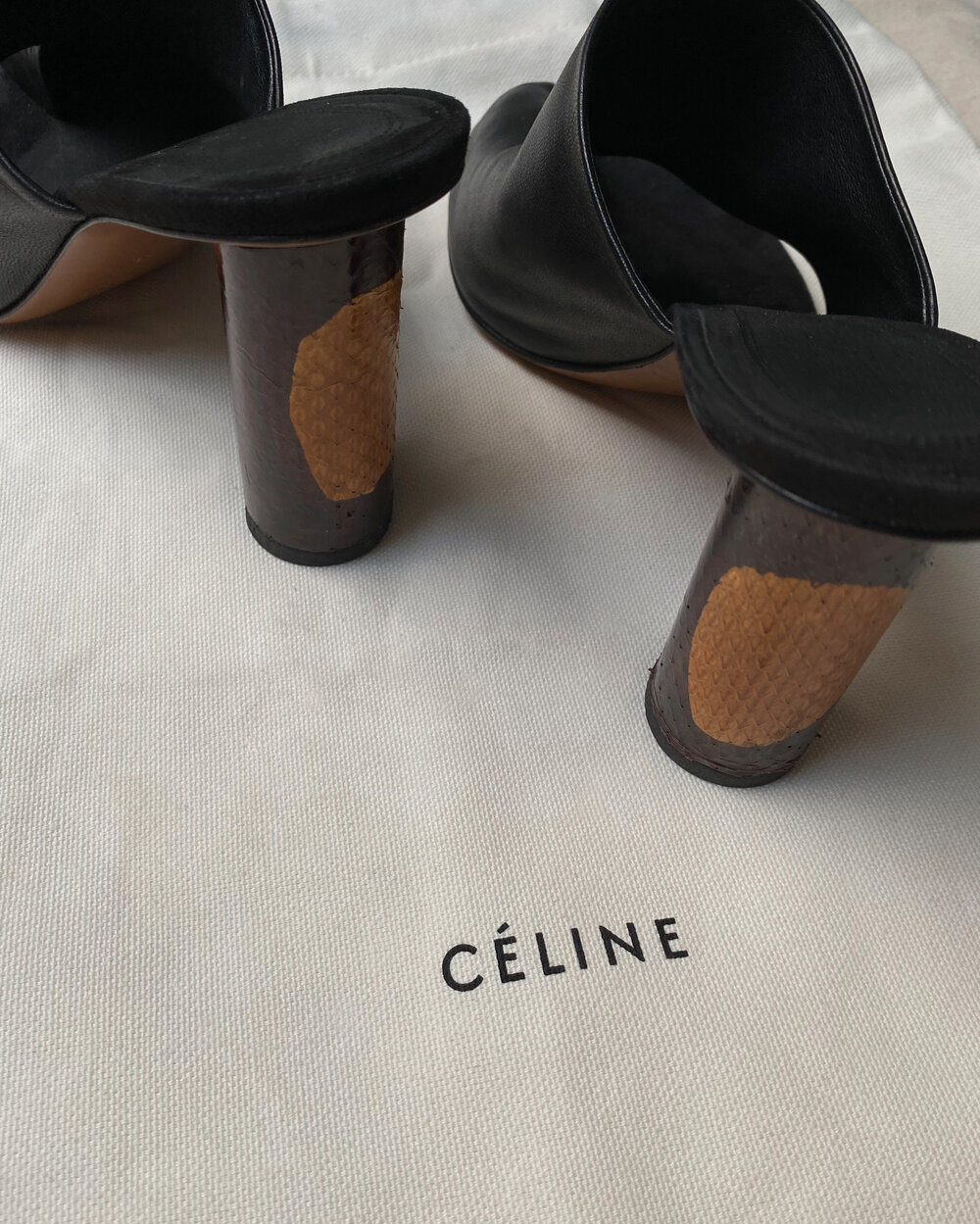 celine2.JPG