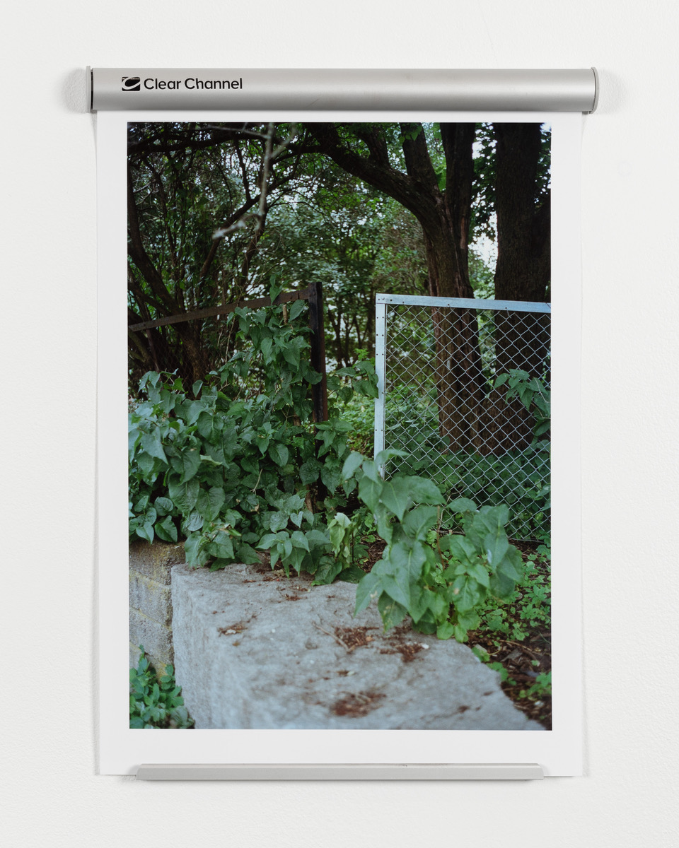 QBG_2018_09_Jon_Benjamin_WebRes_14.jpeg