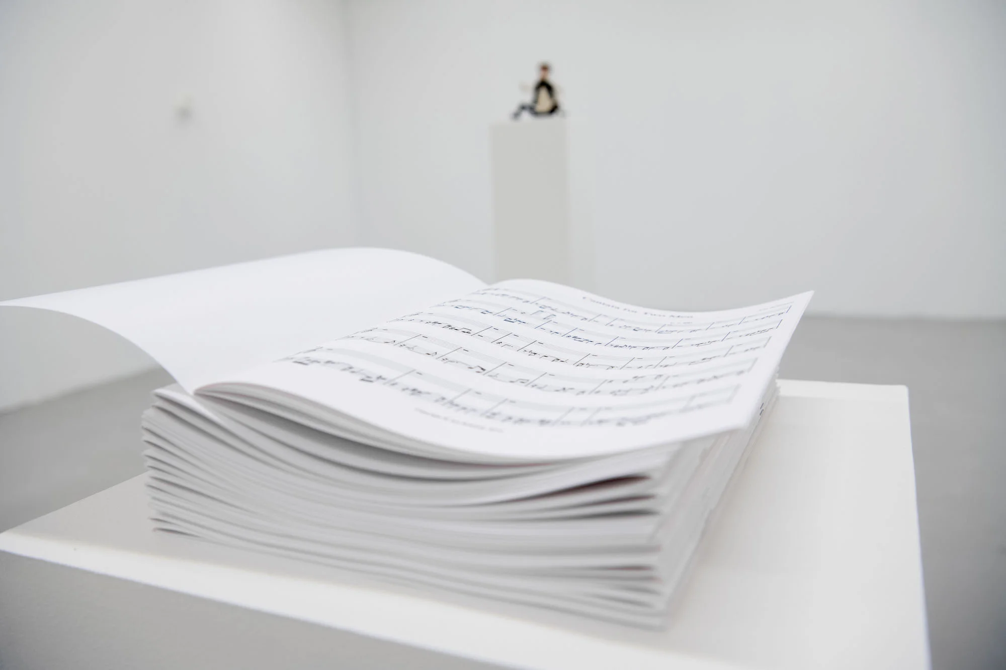 A Cantata for Two Men , Am Scmidt (USA), from the exhibition Terms and Conditions: A Sonata for Two Women , curated by Amanda Schmitt (USA), 2019. Photo: Jan Inge Haga.