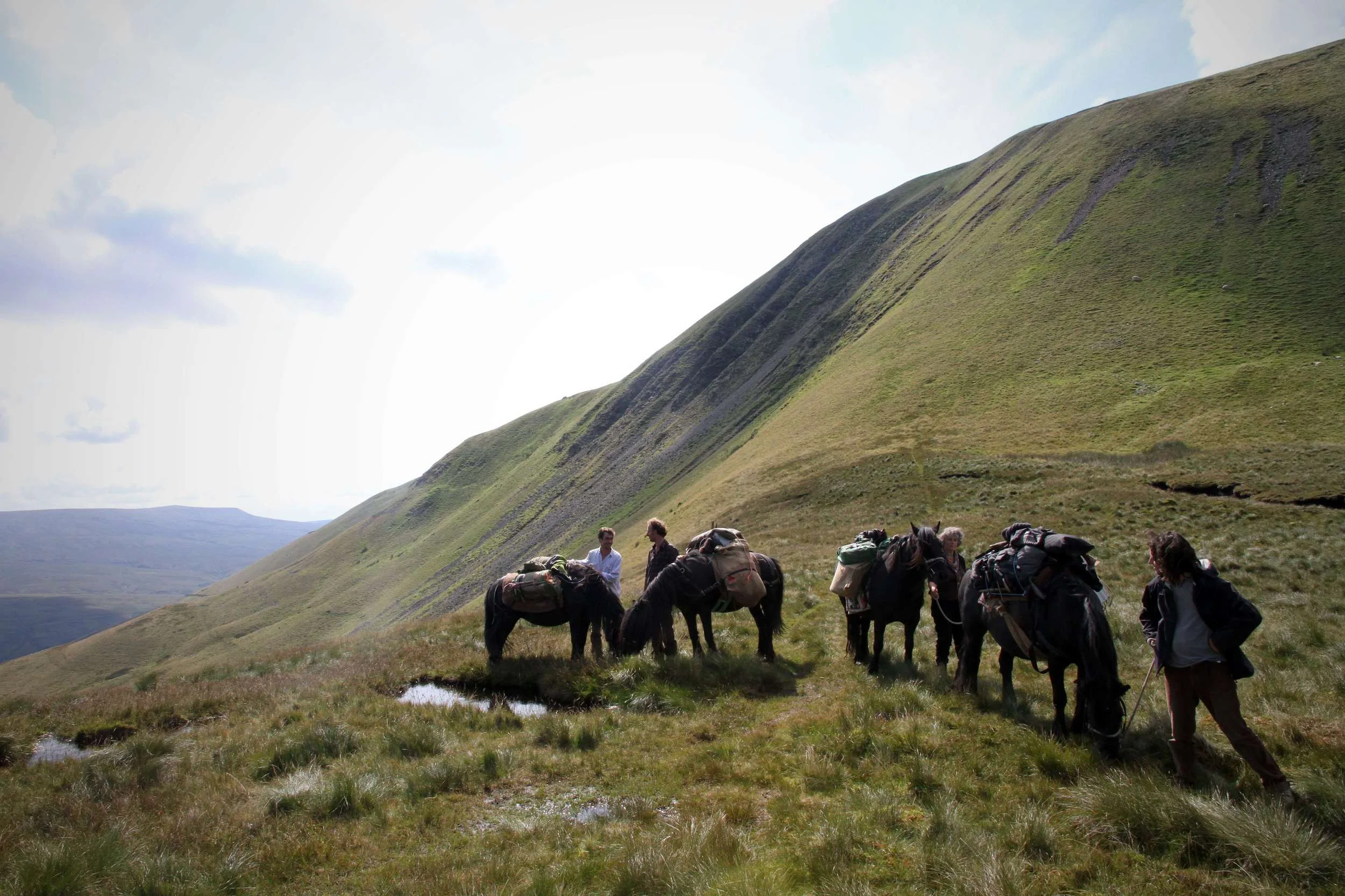 Hades Hill Ponies trecking over Yarleside, Ravenstonedale