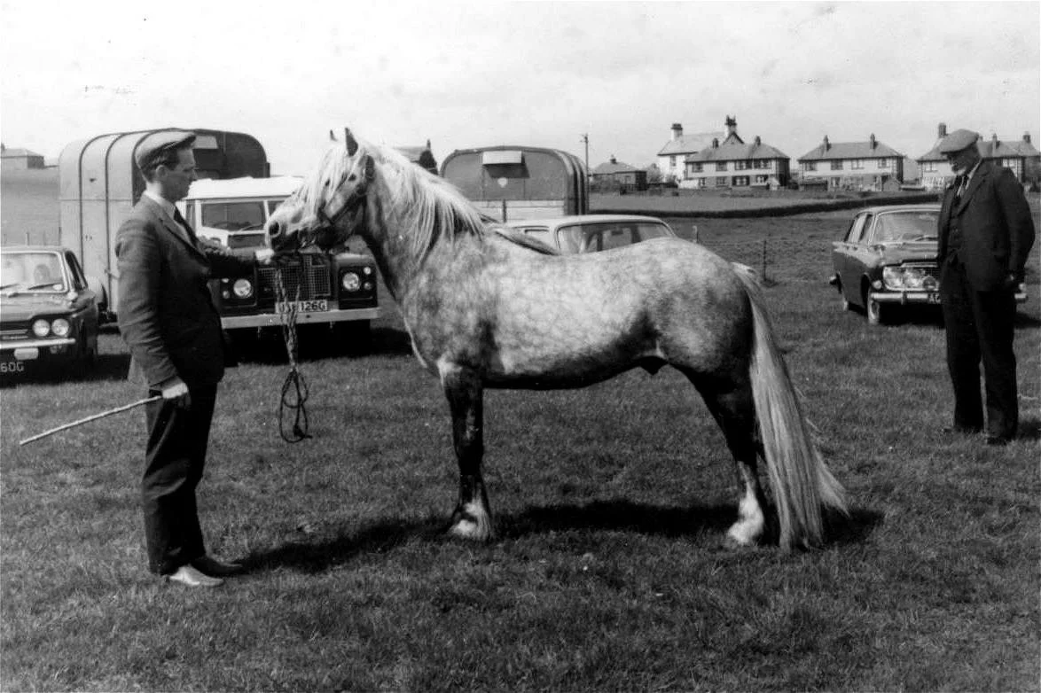 Lunesdale