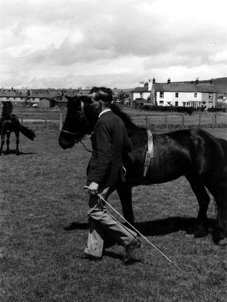 Lunesdale