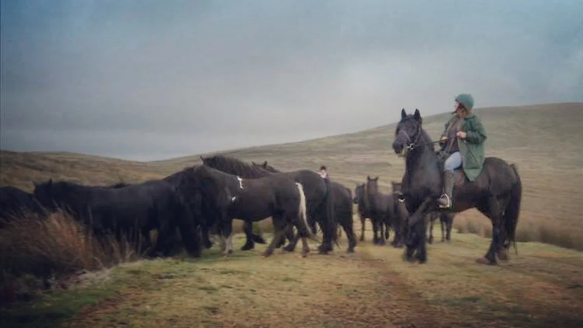 Gathering Wellbrow ponies