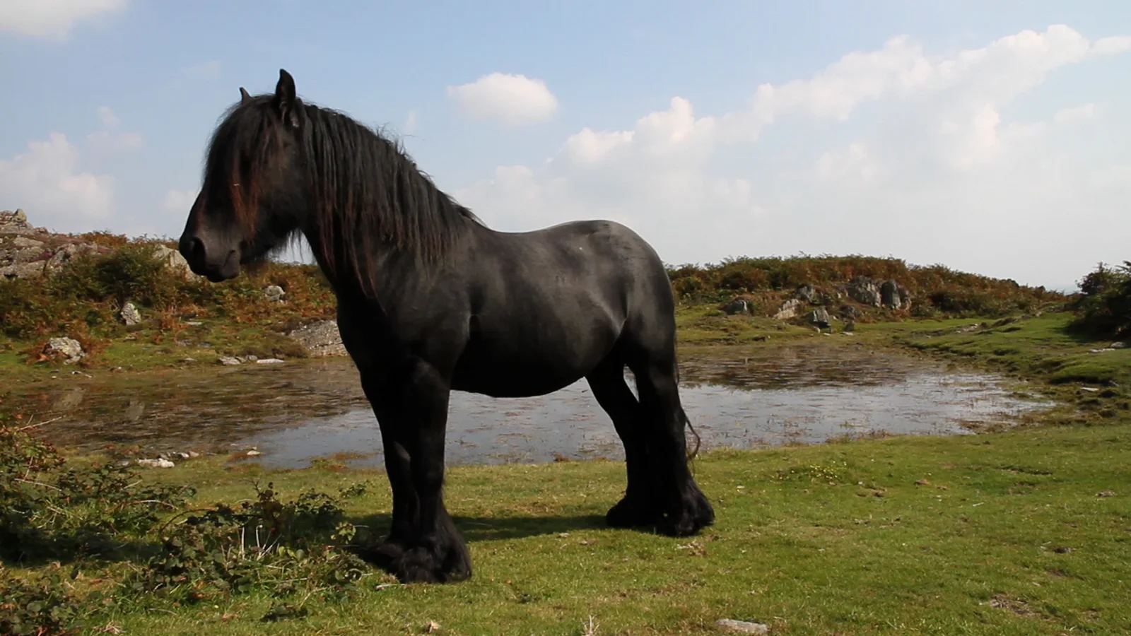 Hades Hill Pat II, Cartmel Fell