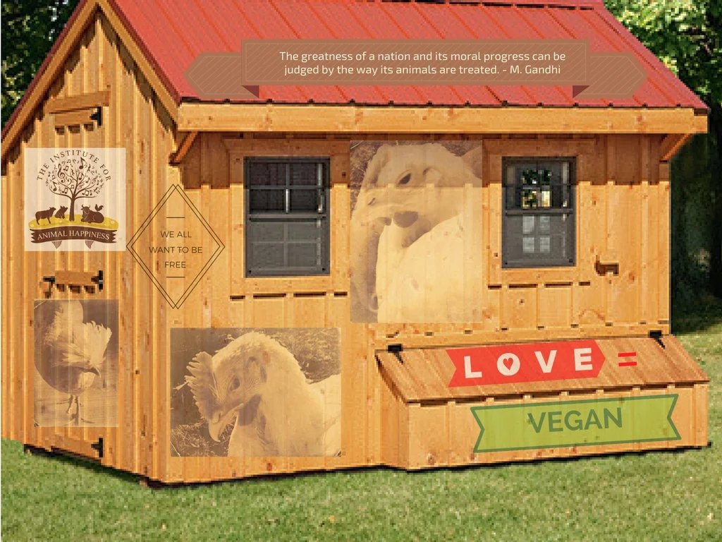 Building a coop!