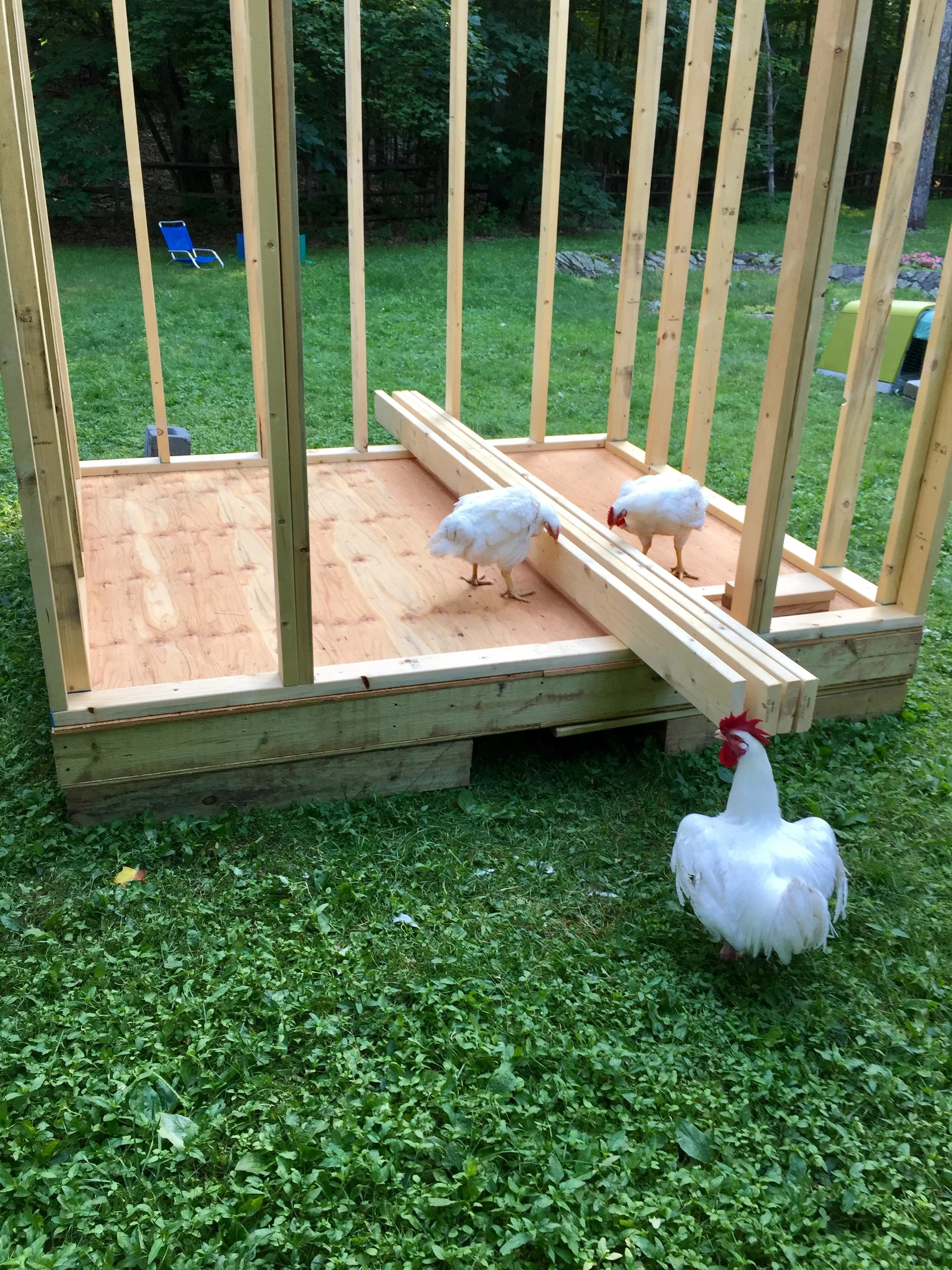 BUCKLES (to Festus and Toodle Lou): "Okay guys, on the count of three, and for God's sake lift with the knees!"
