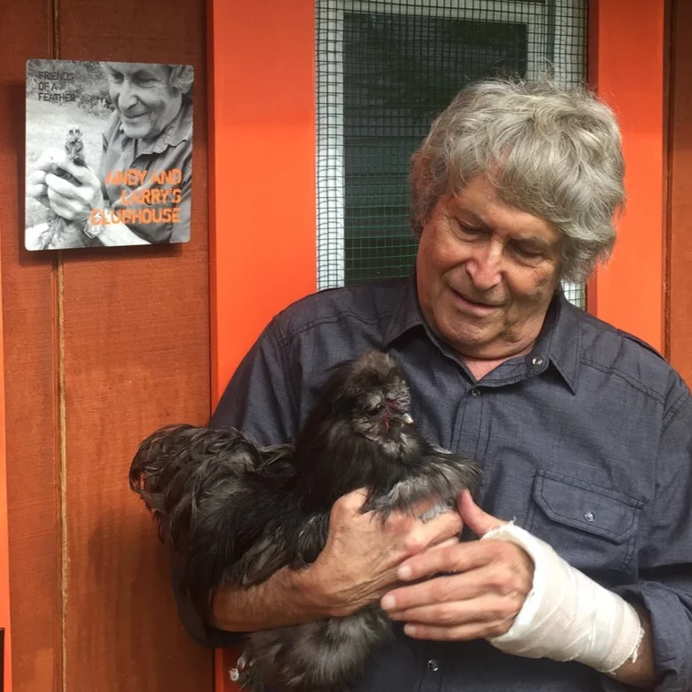 ANDREW GLICK Andy (shown here with Larry, a rooster rescued from NYC) is a friend, mentor and long time animal rights activist. Founder of WOODSTOCK ANIMAL RIGHTS MOVEMENT ((W.A.R.M.) in 1989 (!!!) and founding member of WOODSTOCK FERAL CAT PROJECT (W.F.C.P.) as well as a vegan activist, vegan lifestyle coach and educator, Andy brings to this board a profound history of animal rights and vegan activity in the region, as well as the vast experience he has gained supporting vegan causes and initiatives. It is incredible to know that Andy opened the FIRST fully vegan animal rights store in the United States in 1991 - The W.A.R.M. Store! He has been a great friend to us since the very first rescued bird in our care, and we even have a coop dedicated in his (and Larry’s) honor.