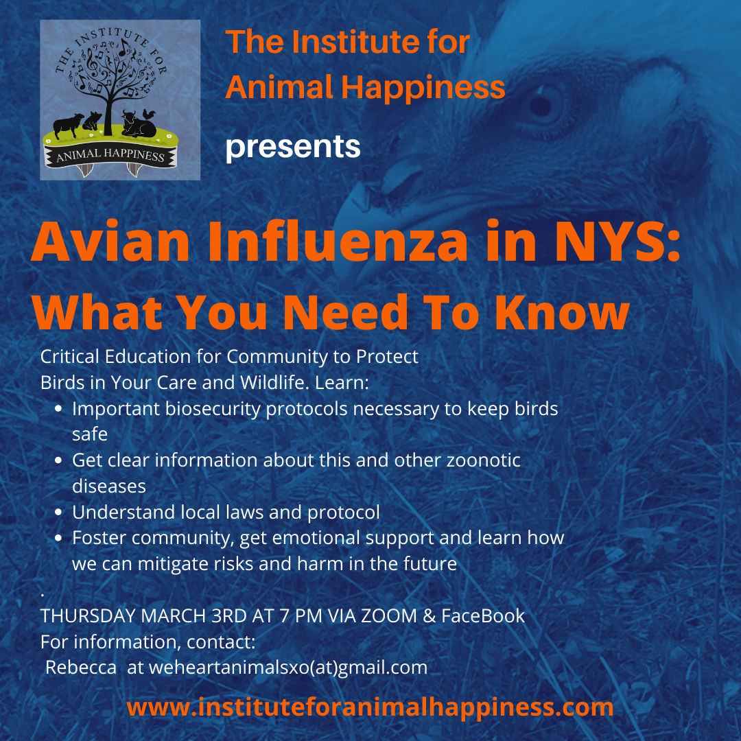 Avian Influenza in NYS (and beyond): What you need to know