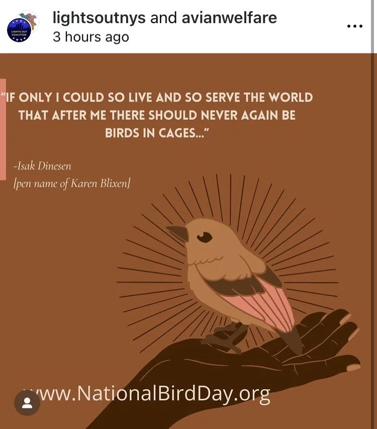 Yes, celebrate National Bird Day.
Yes, we need lights out and to support these great groups.
No, don&rsquo;t quote racists who happen to be animal advocates. 
Likely many do not know this about Dinesen so this is your opp to let your fingers dance on