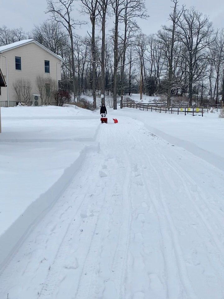 Amazing what you can achieve with a small snow plow and a shovel. Team Institute, getting it done! 🥰🙌❄️☃️🌨️❄️❄️❄️❄️ (second video: Good old Ebenezer, our Halloween Rooster, enjoying the slow mo snow. All actual living roosters are safely in their 