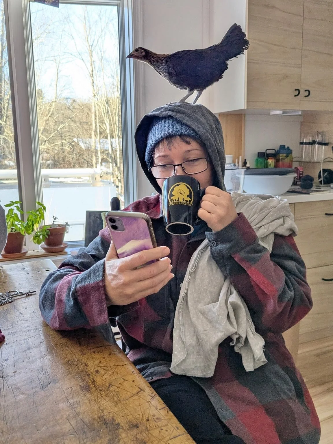 &bull;Morning.
&bull;Doomscrolling.
&bull;Still have no name for the new little boo found in an nyc garbage room in minus 5 degree F&hellip; he&rsquo;s doing a well. 💗😭🙌
Turns out they are a little boy chicken. And tinier than the bantams already 