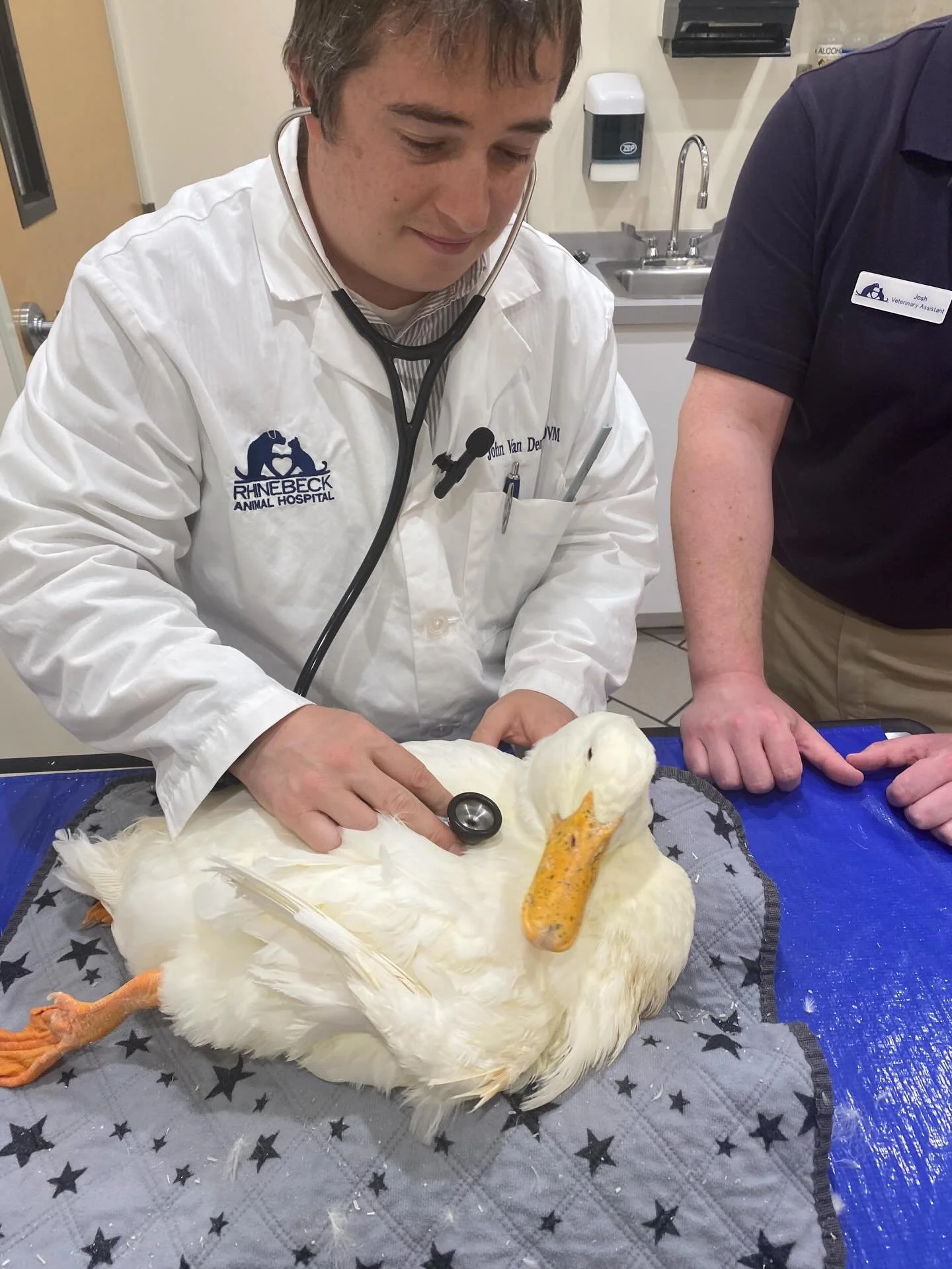 When you donate to @instituteforanimalhappiness , this is where your kind and thoughtful support goes: real, educated care for the dear nonhumans in residence - and real, whole and healthy foods for the community. 

This week two residents had to go 