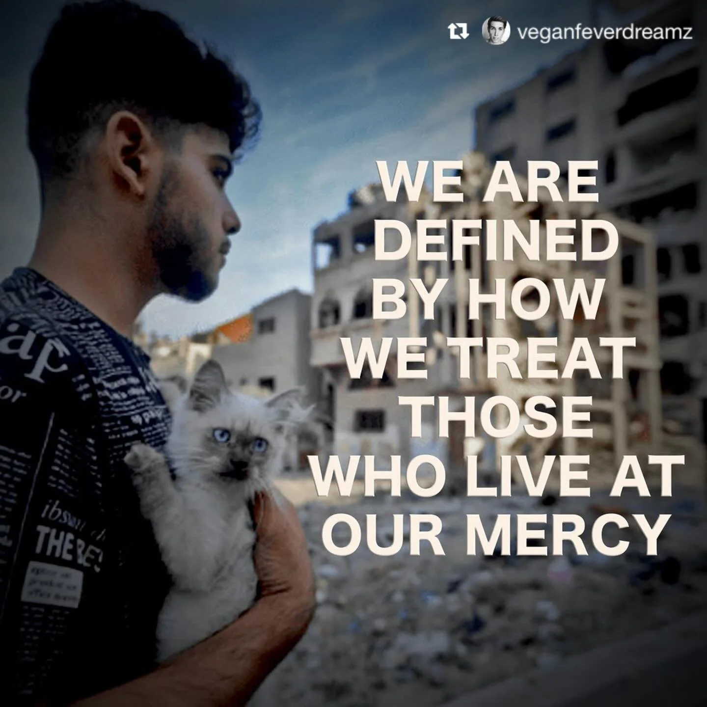 In solidarity with @veganfeverdreamz - and all who make these devastating connections. 
&bull;
(This post was too important not to amplify in every way possible, and the images and text speak for themselves&hellip; but the post author&rsquo;s caption