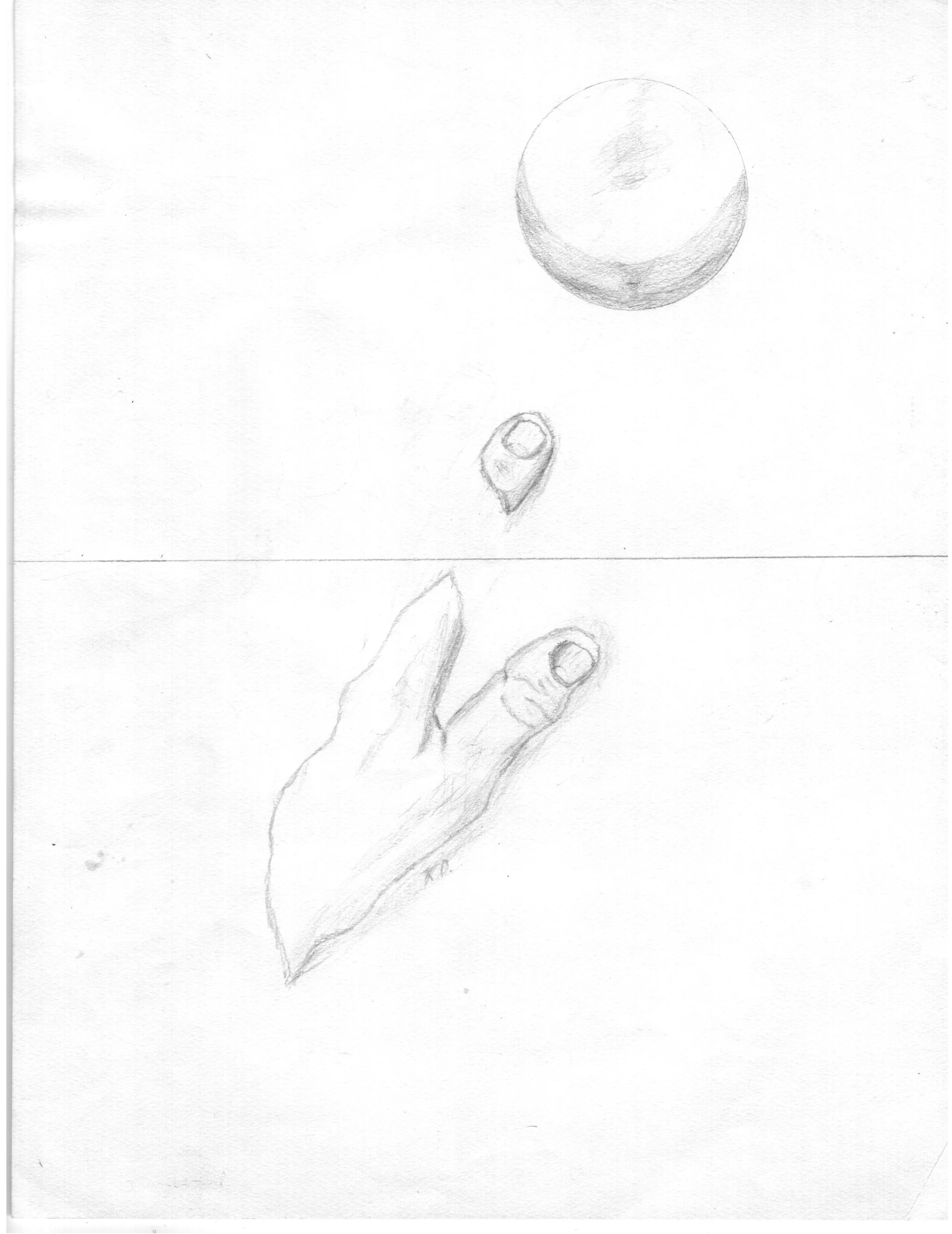 DImensions 1983.jpeg