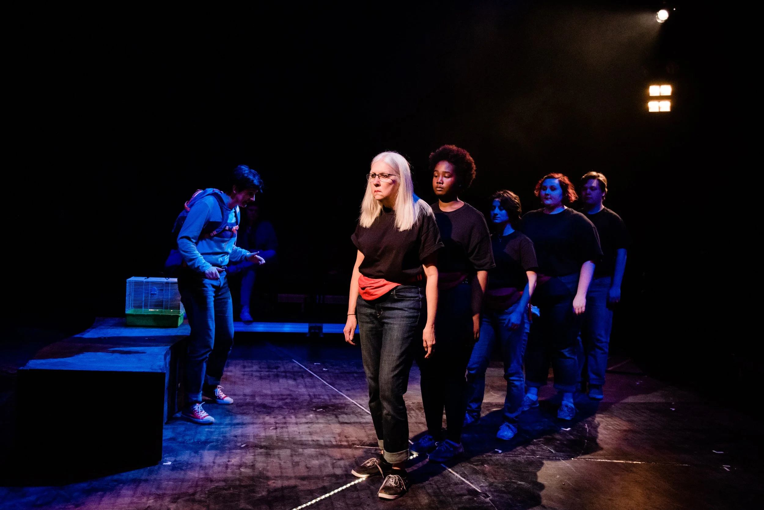 curious-incident-71_49565327622_o.jpg