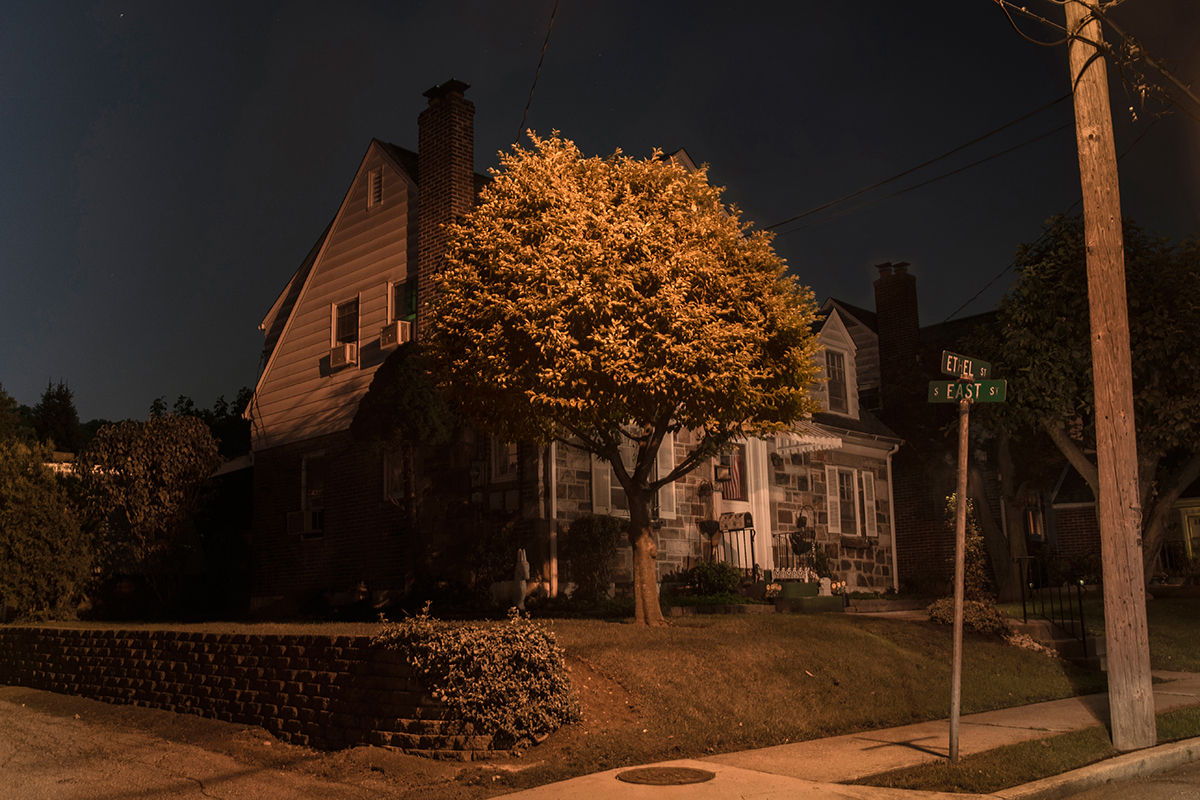 That Tree on East and Ethel - Take 5.jpg